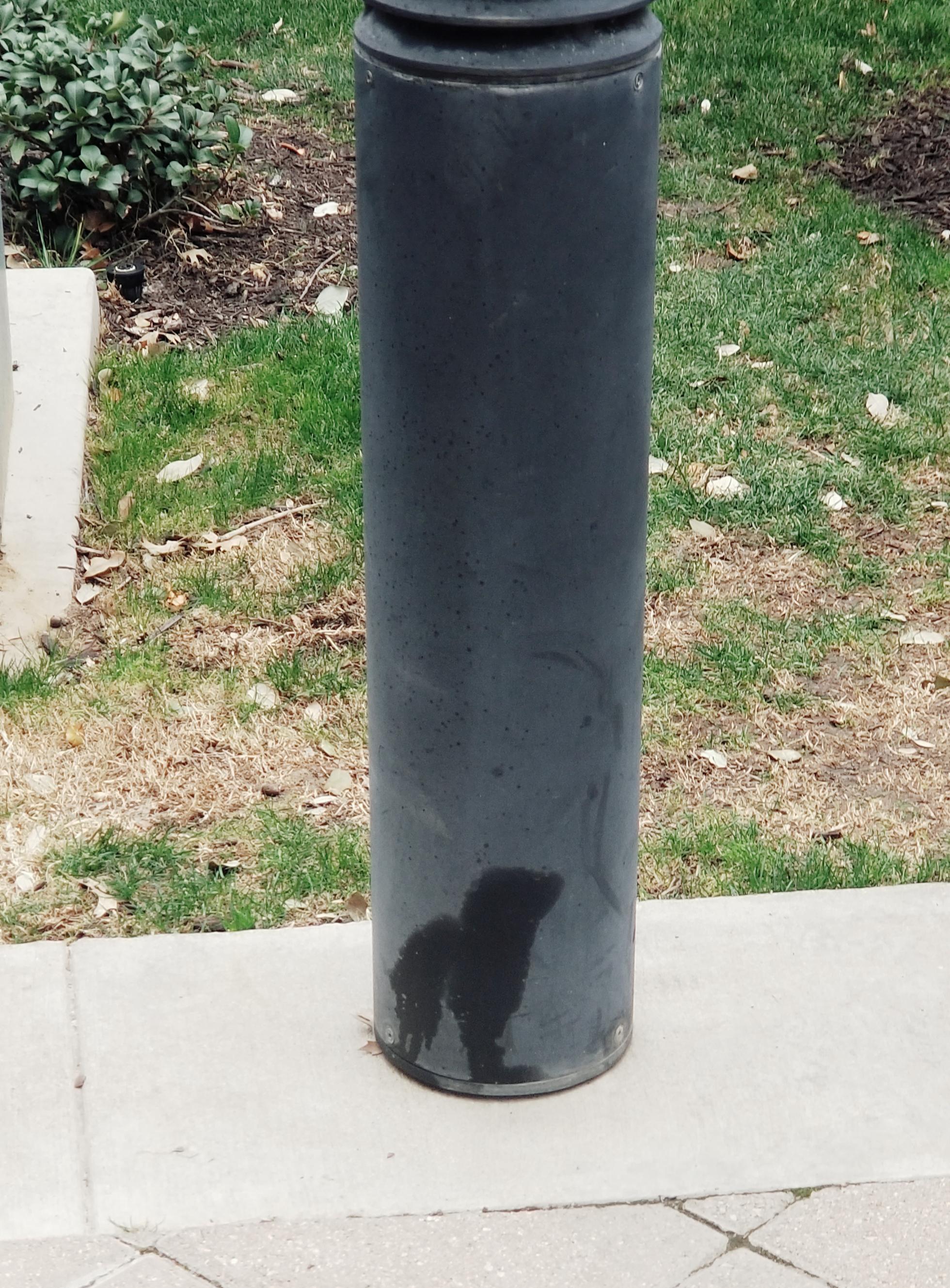 Dog pee mark on sidewalk pole looks like a dog peeing r/mildlyinteresting