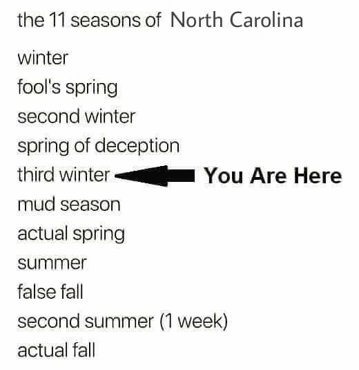 11 seasons of North Carolina