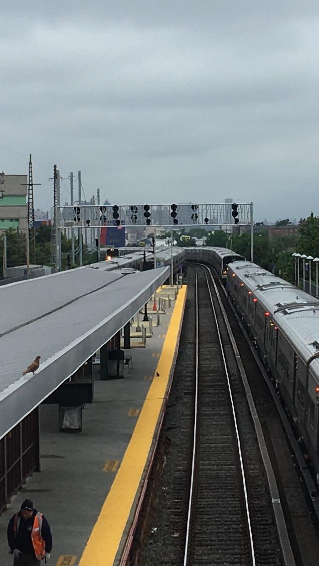 Bumper to bumper at woodside LIRR station this morning r/nyc