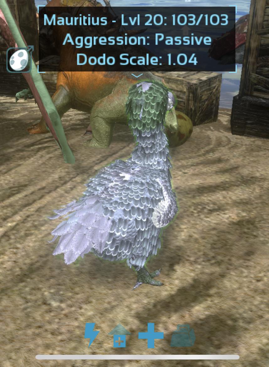 What’s the Dodo Scale mean and why does my precious Dodo named