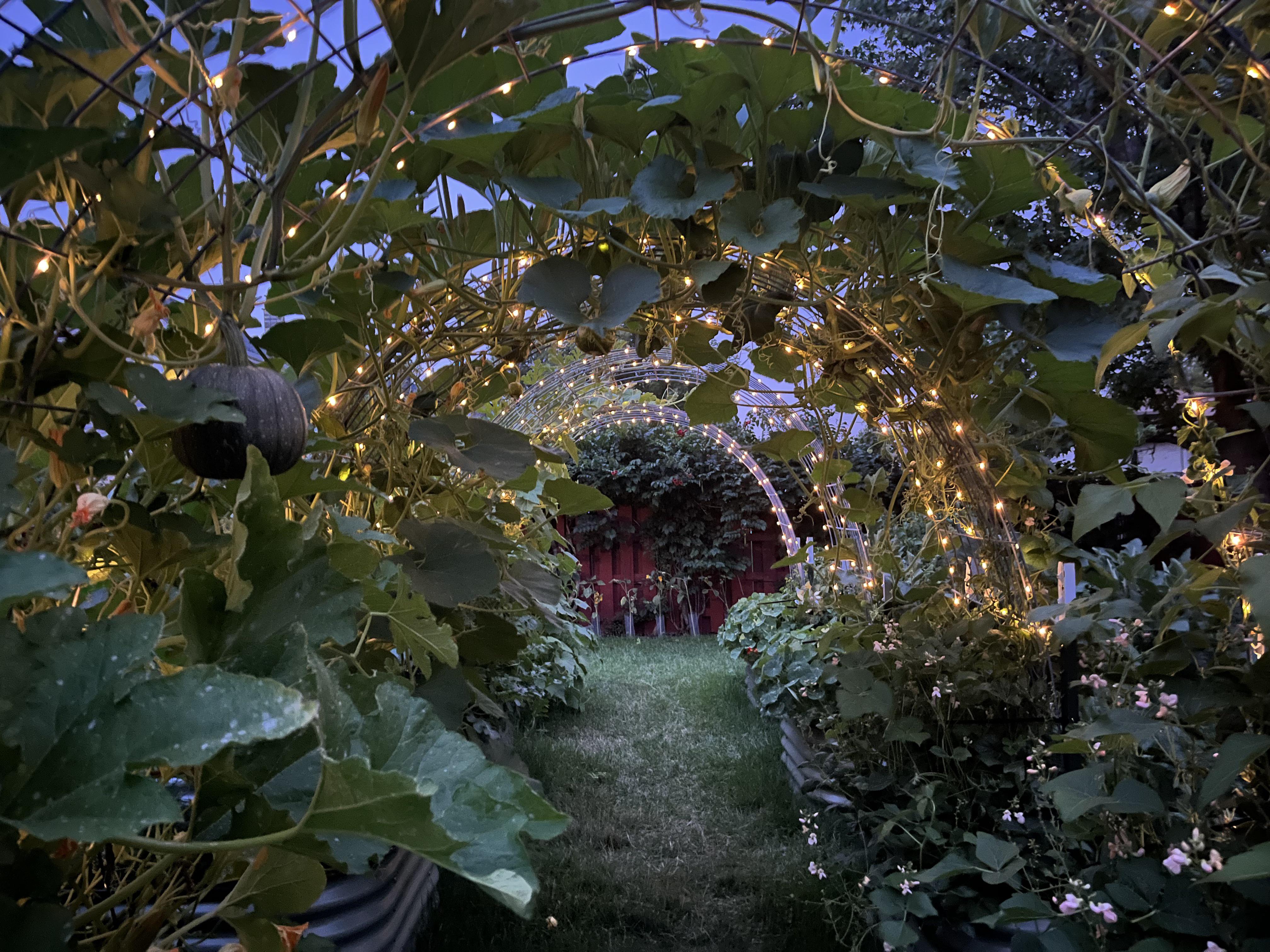Garden at night r/gardening