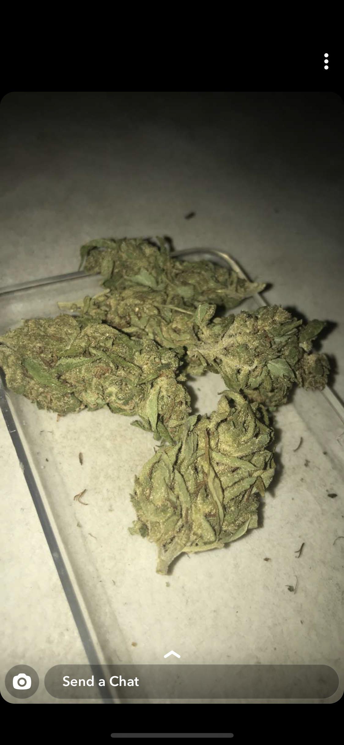 Chem Scout (Chemdawg x Girl Scout Cookies) in Brisbane r/ausents