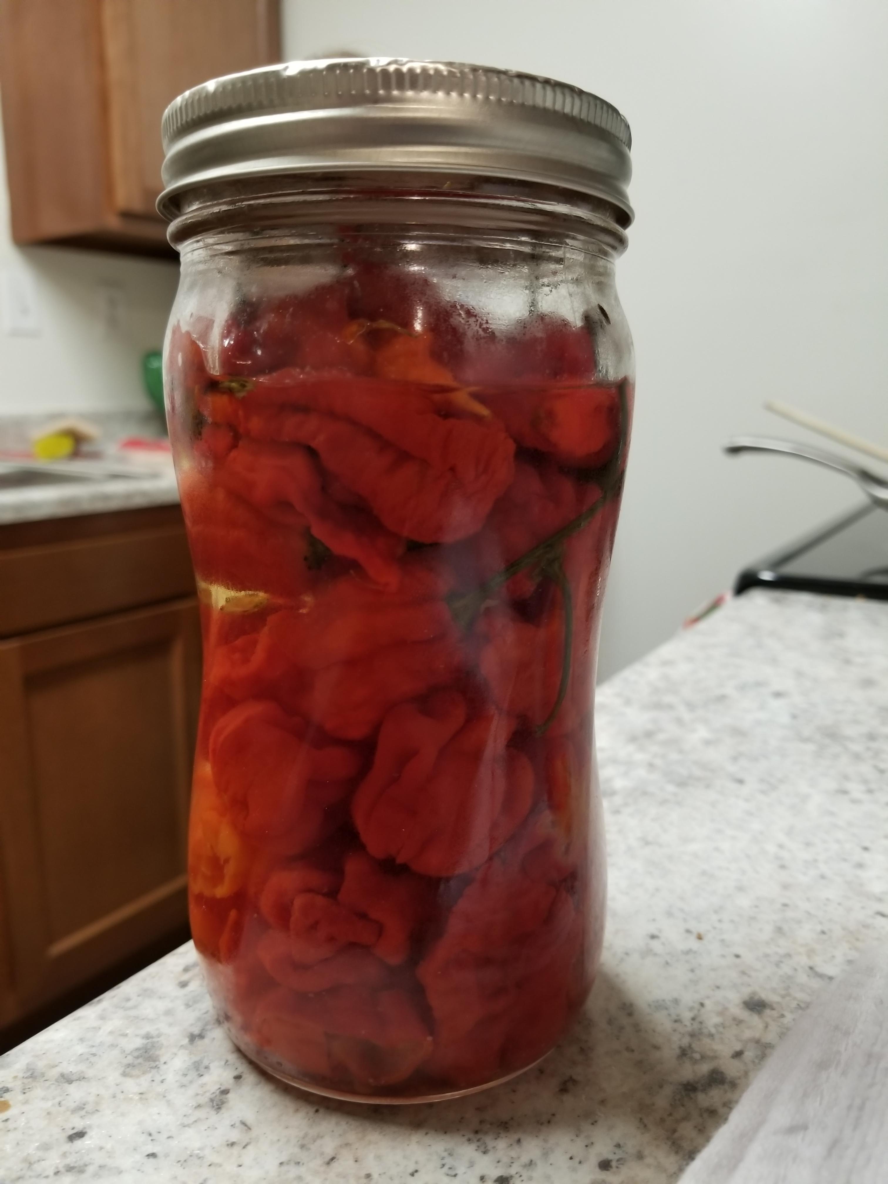 Carolina Reaper Peppa Sauce [Homemade] r/food