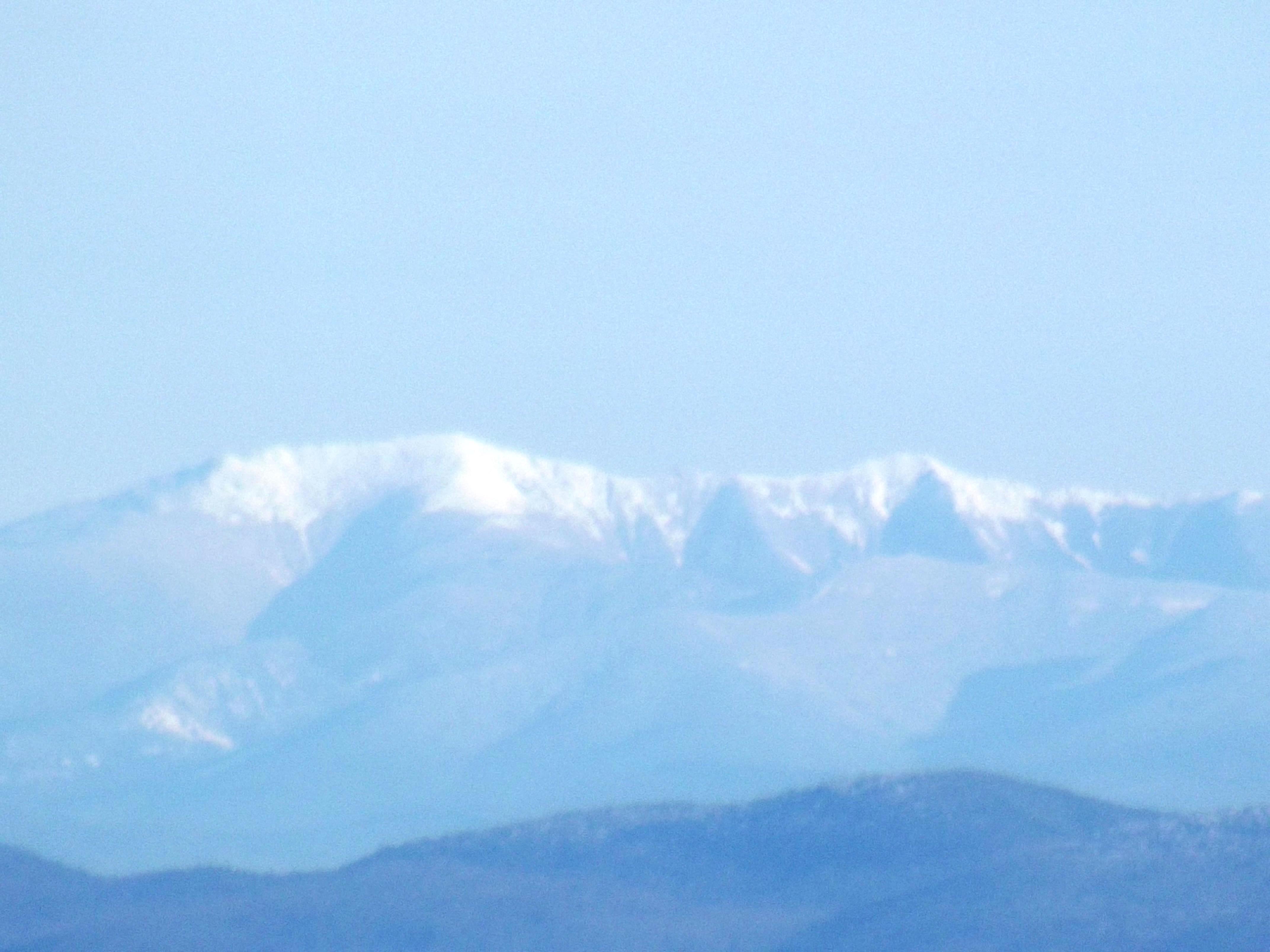 One of my best pics from an awesome hike today a closeup of the