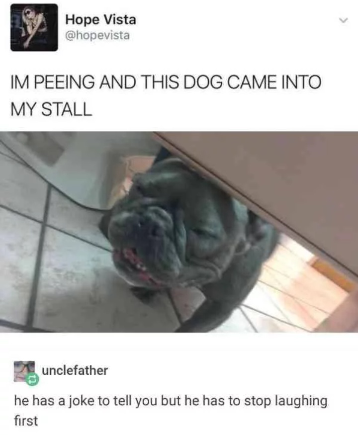 Just like sliding into DMs r/dank_meme