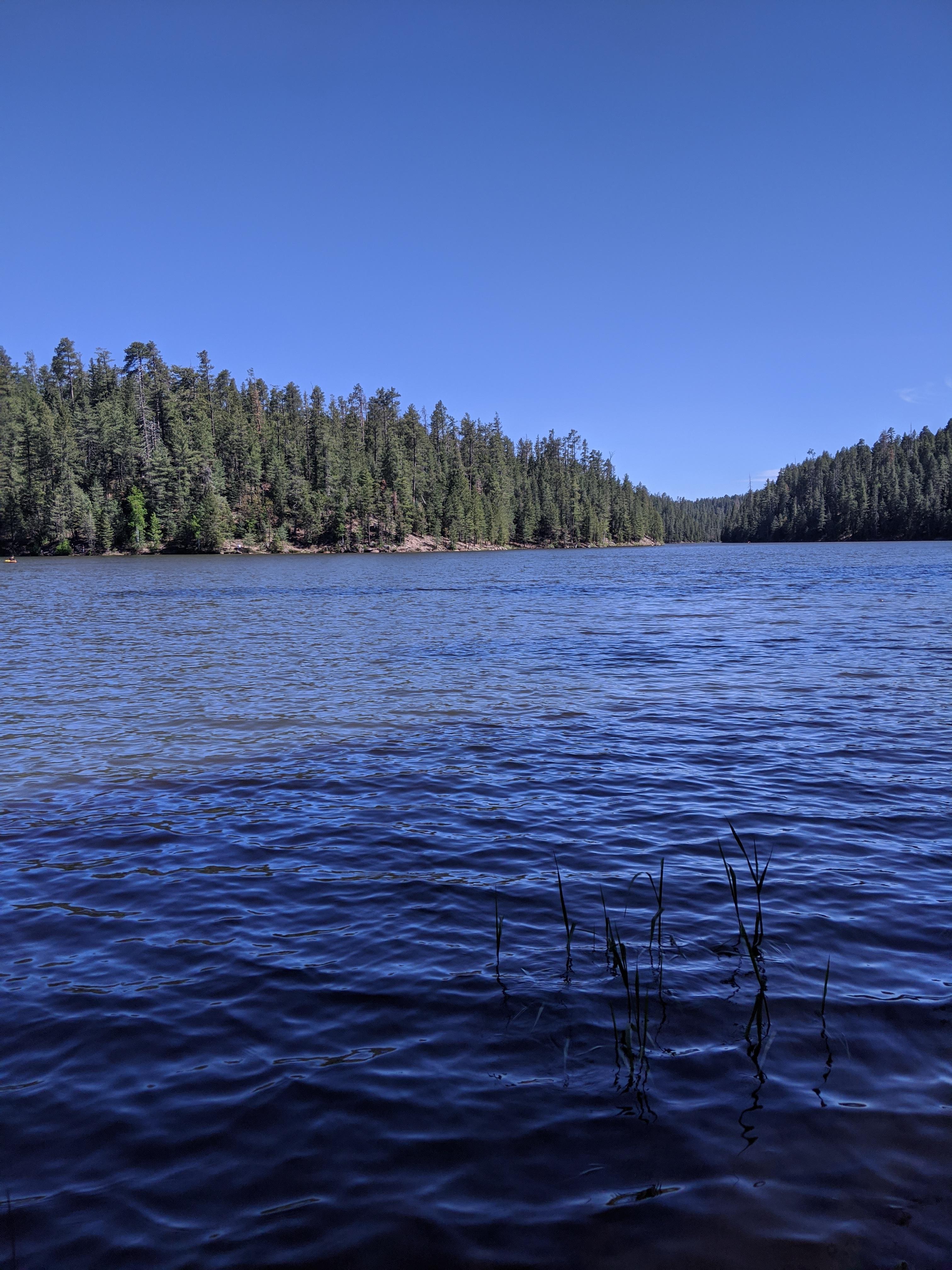 Bear Canyon Lake, AZ r/camping