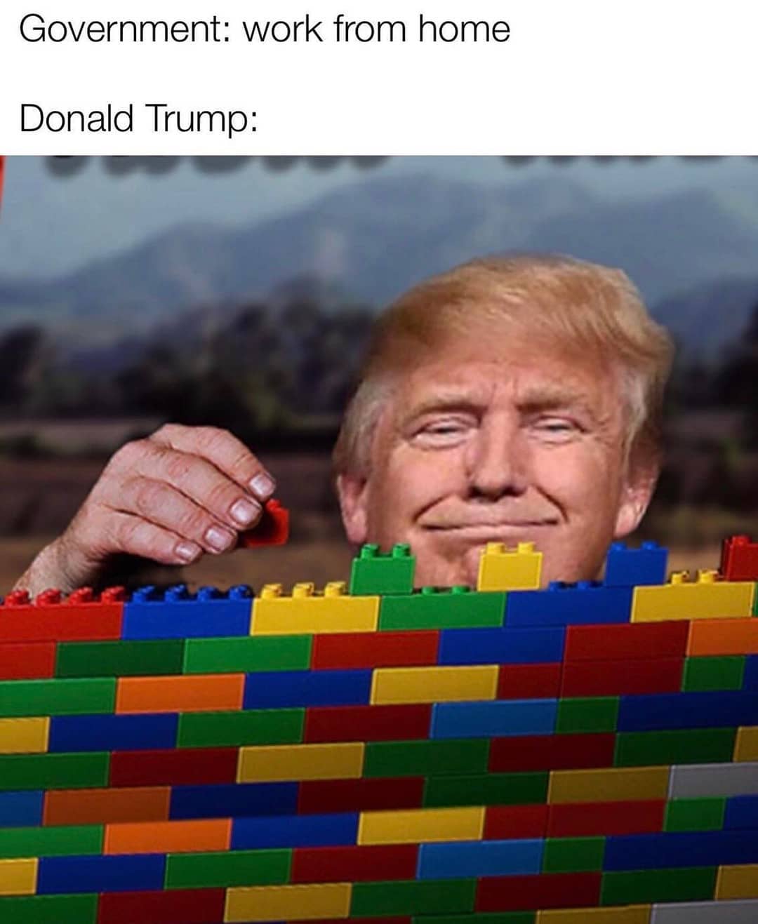 We need to build a wall r/memes