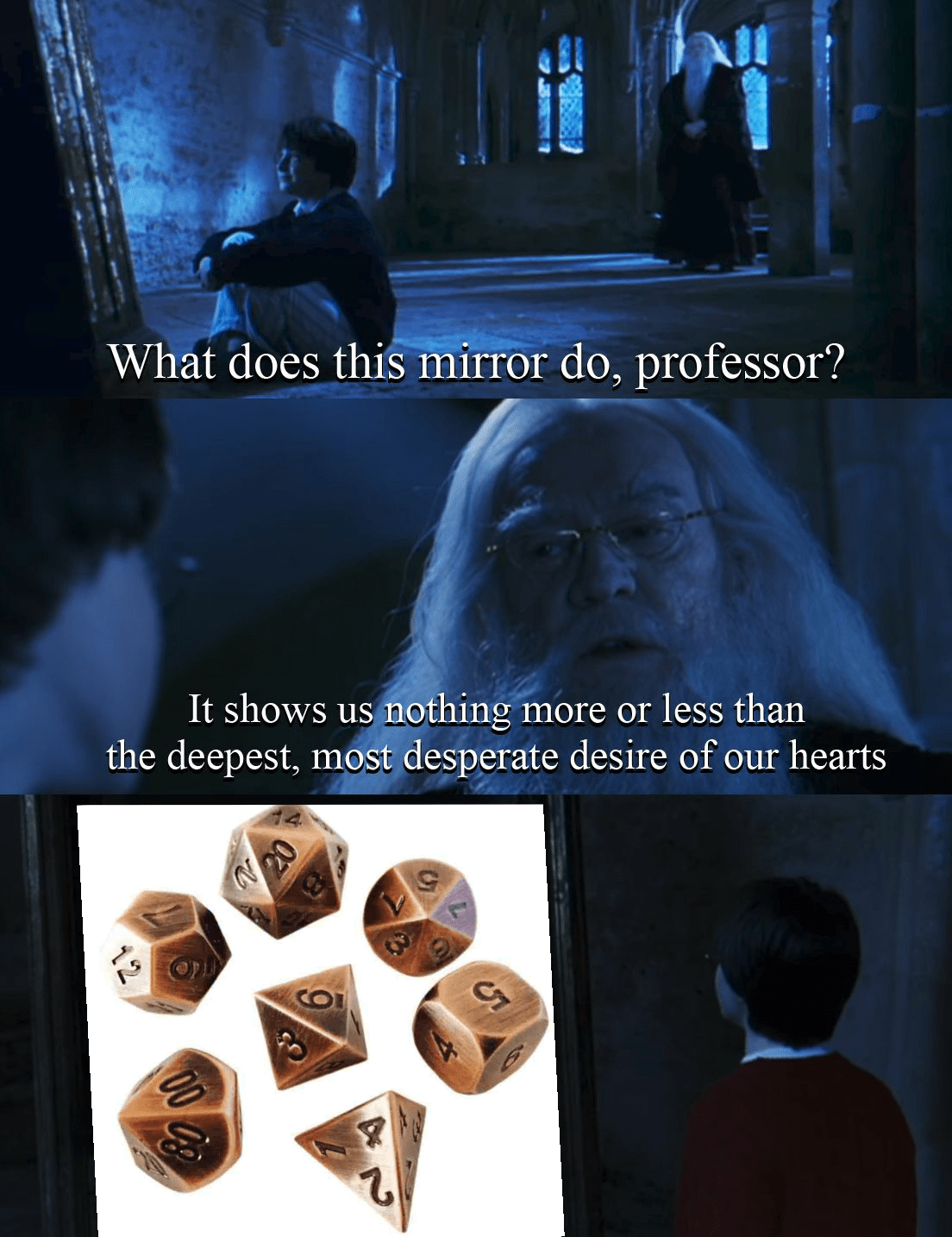 Generic dice obsession meme r/dndmemes