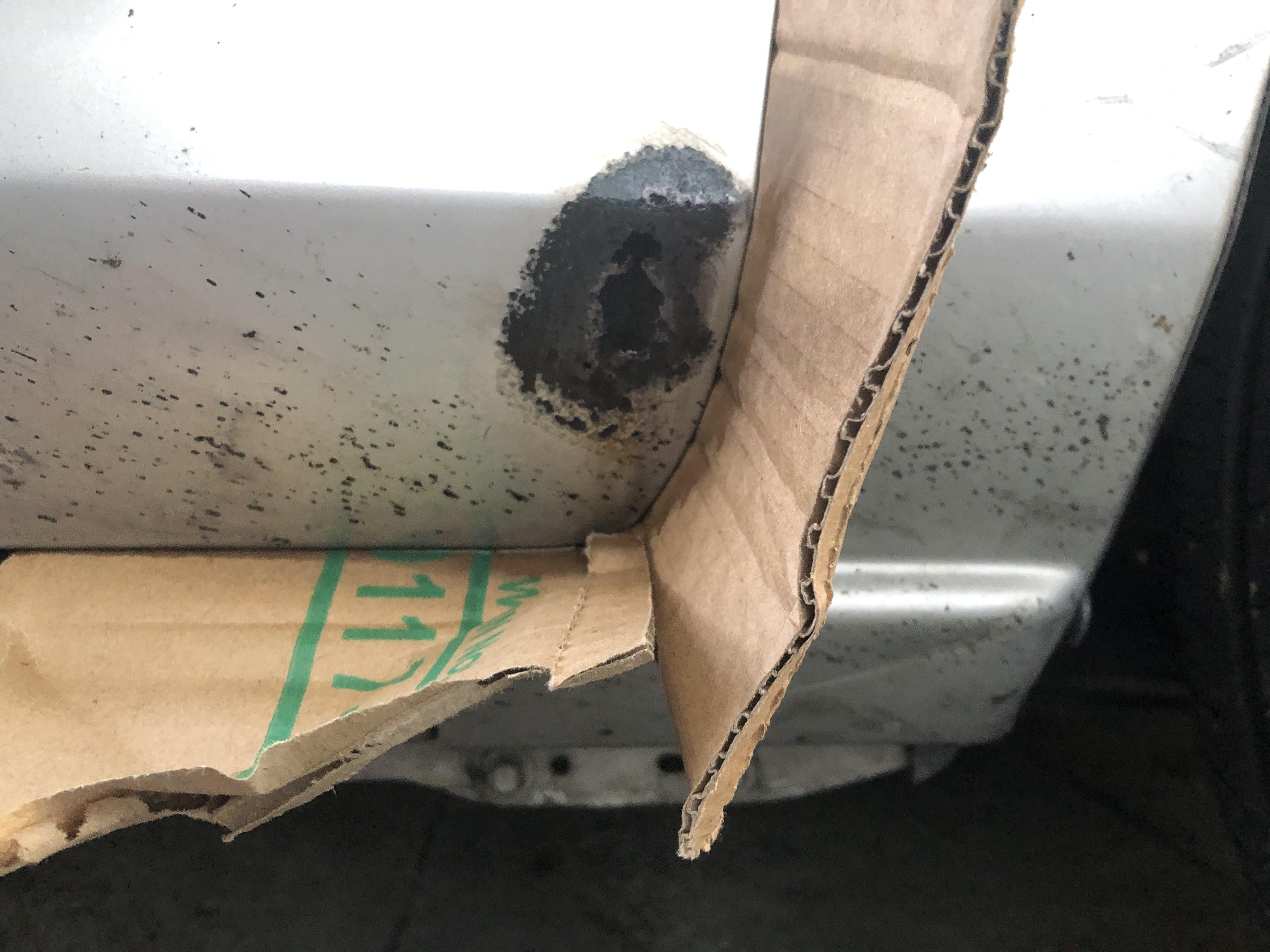 Rust repair suggestions? r/Wellington
