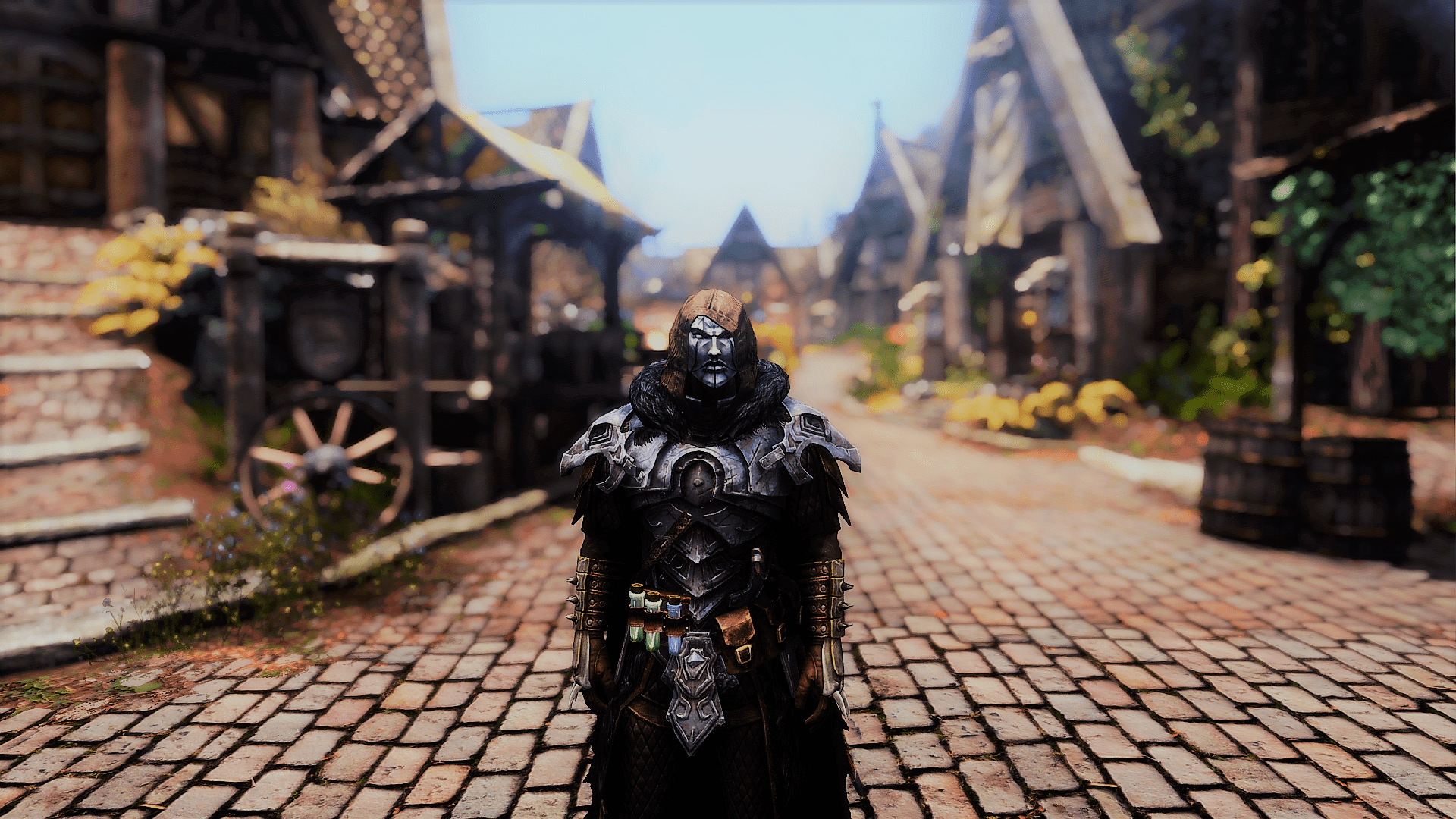 My first playthrough as a battle mage is going well... r/SkyrimPorn