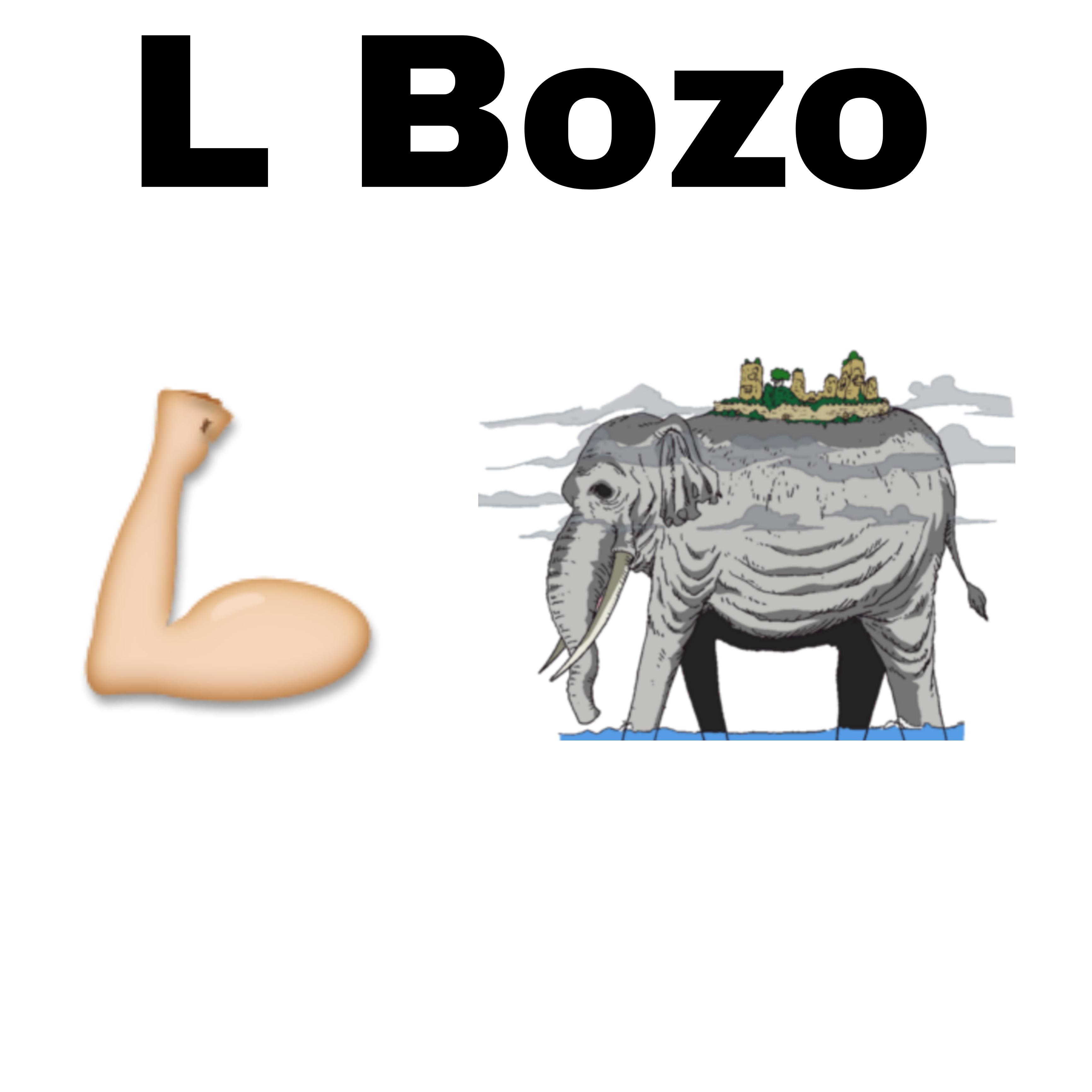 L Bozo r/MemePiece