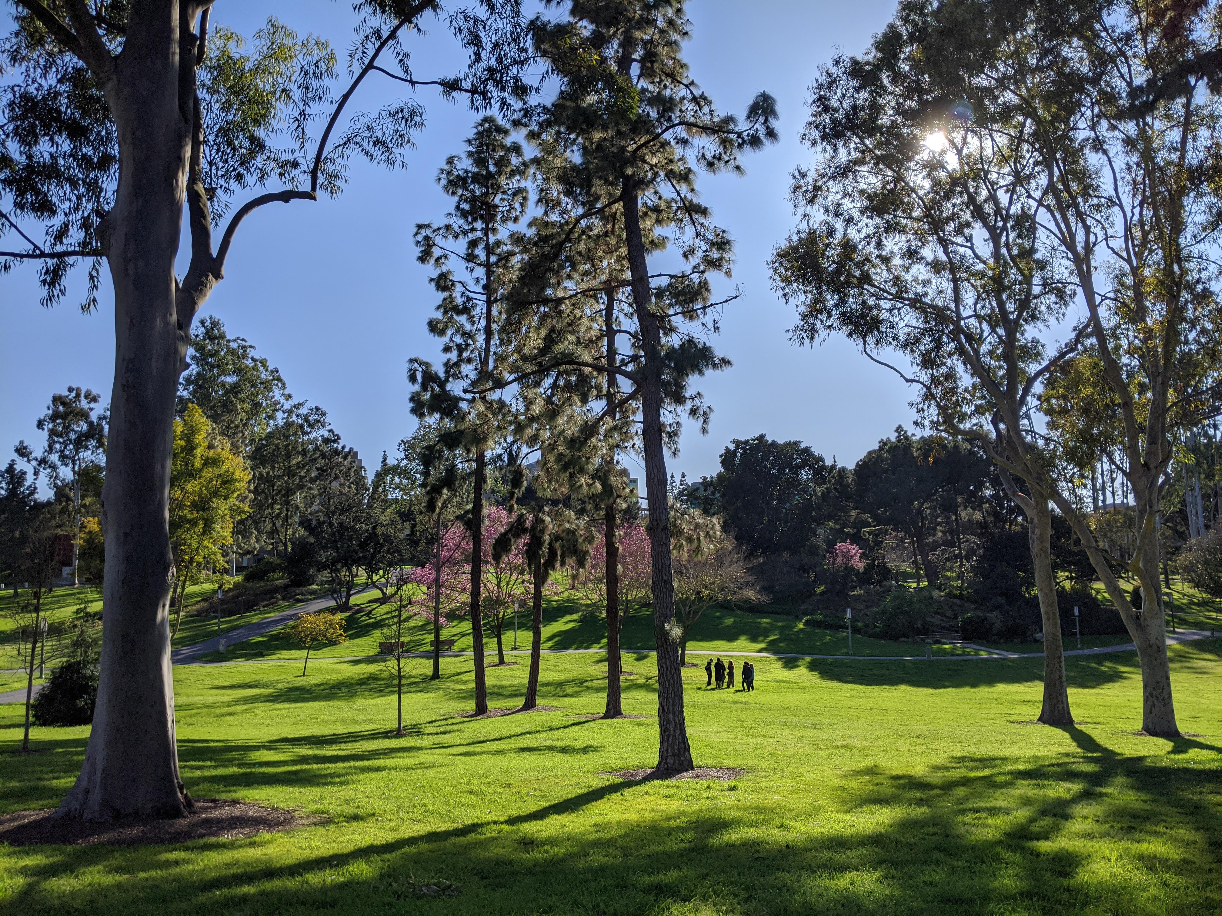 Aldrich Park (from 3 days ago) r/UCI