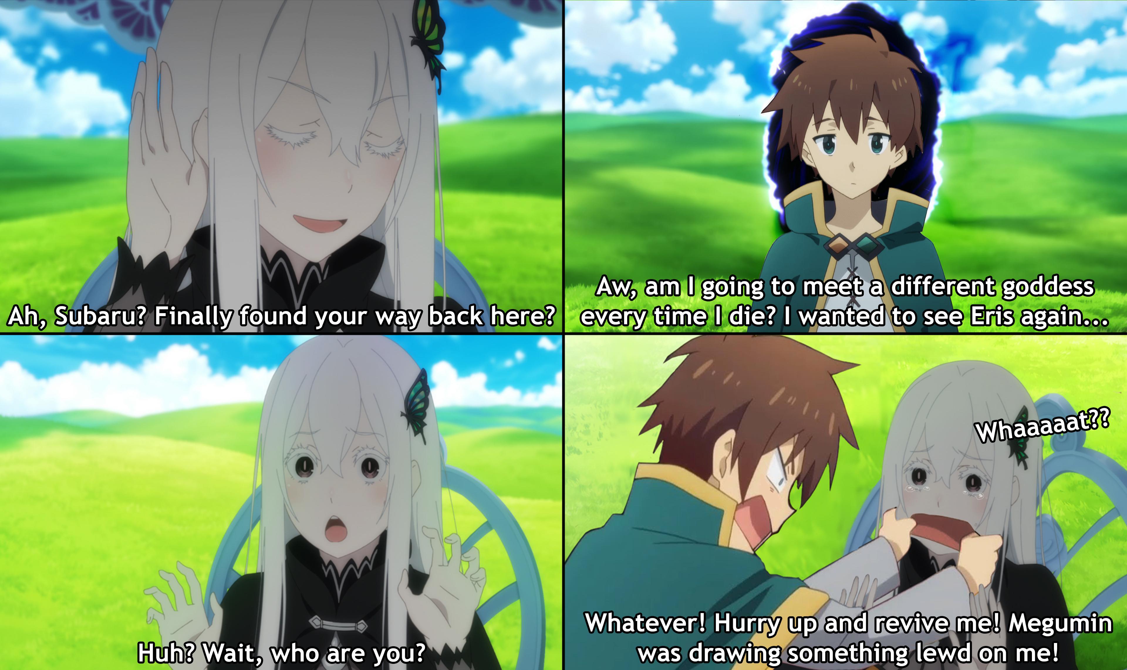 Echidna pads her chest r/goodanimemes