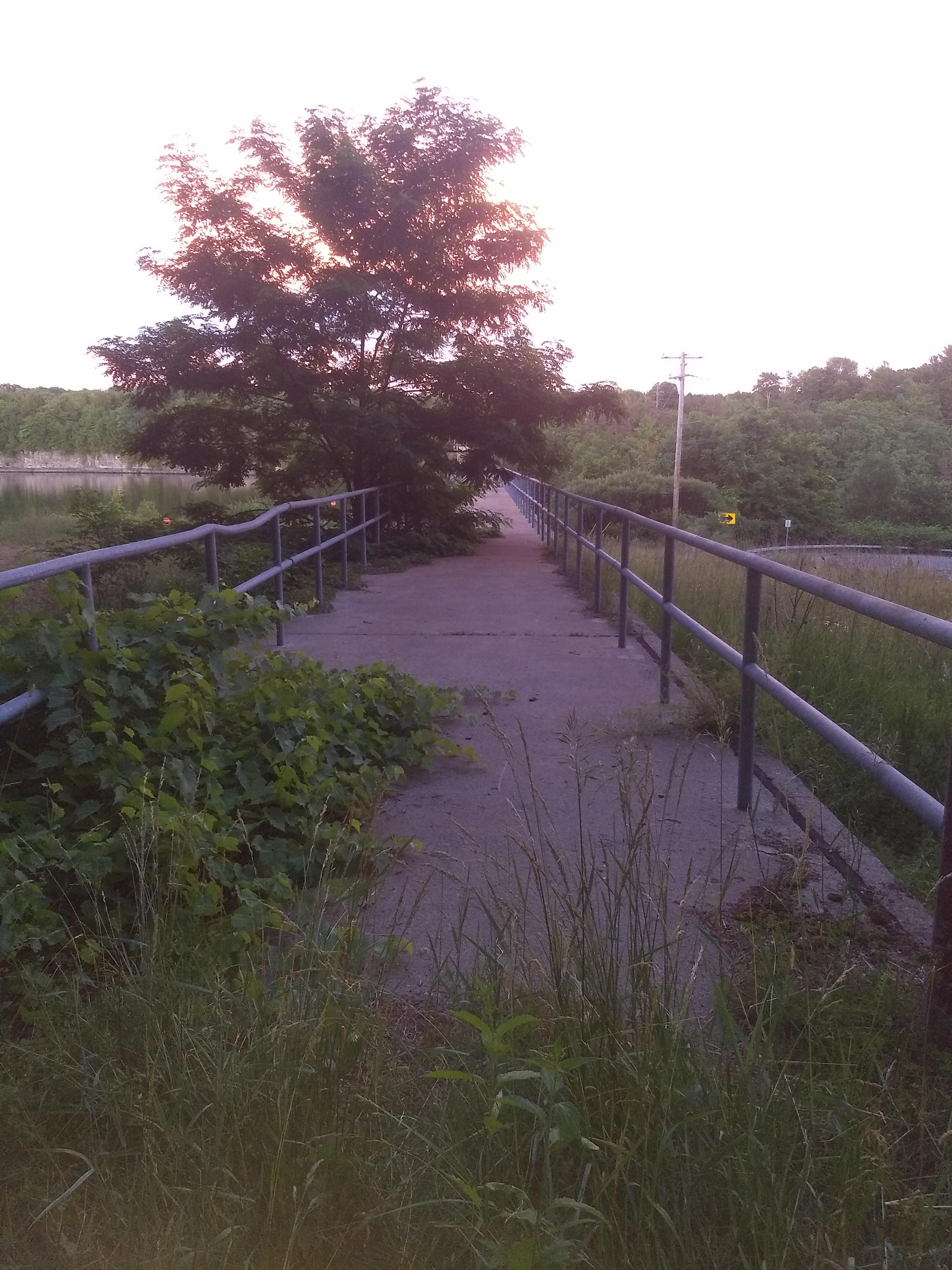 Lake Delta, Rome. Looks like it's from the movie Annihilation. r
