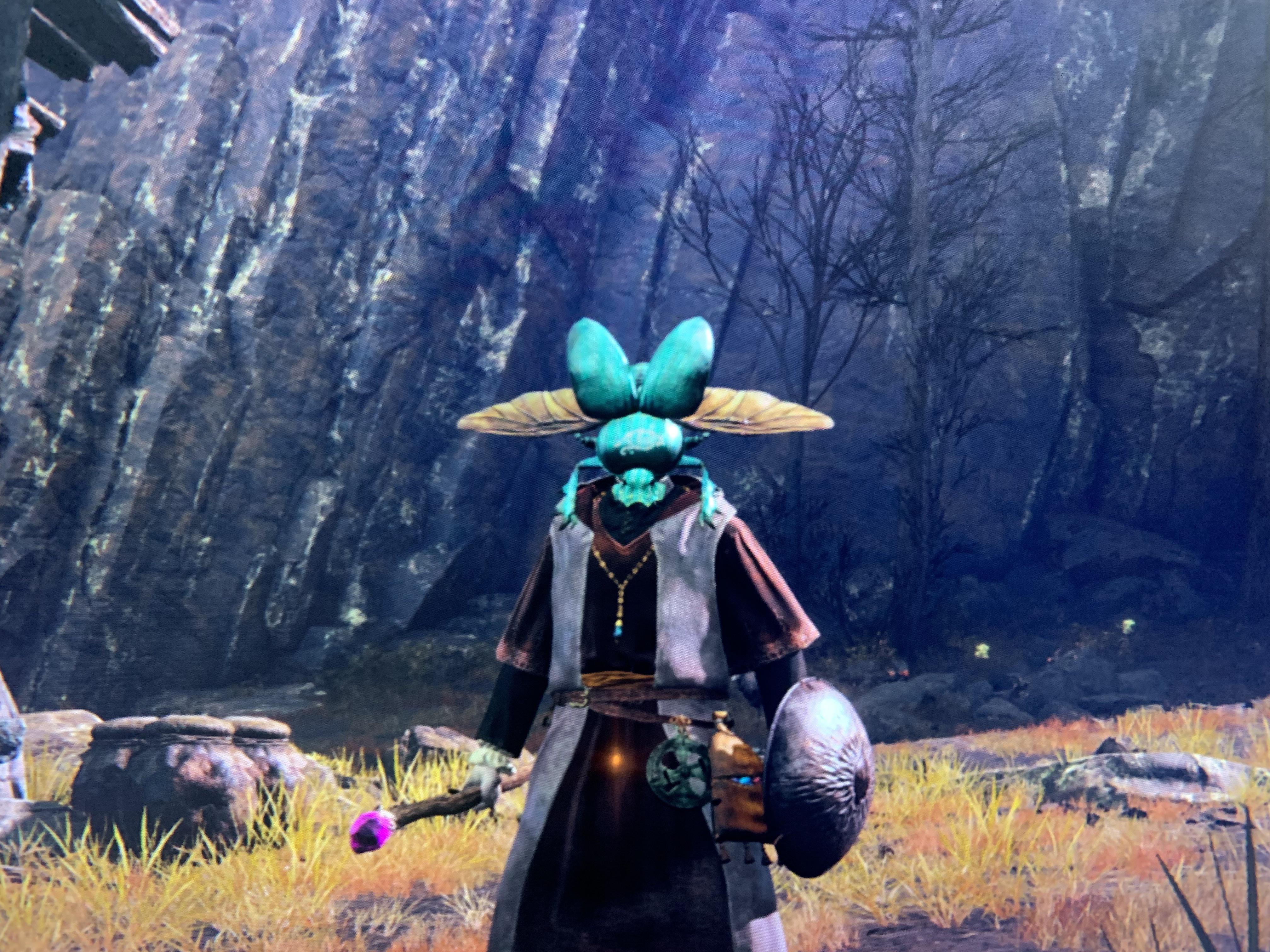 Gotta find ‘em all! Scarab Hats! r/Eldenring