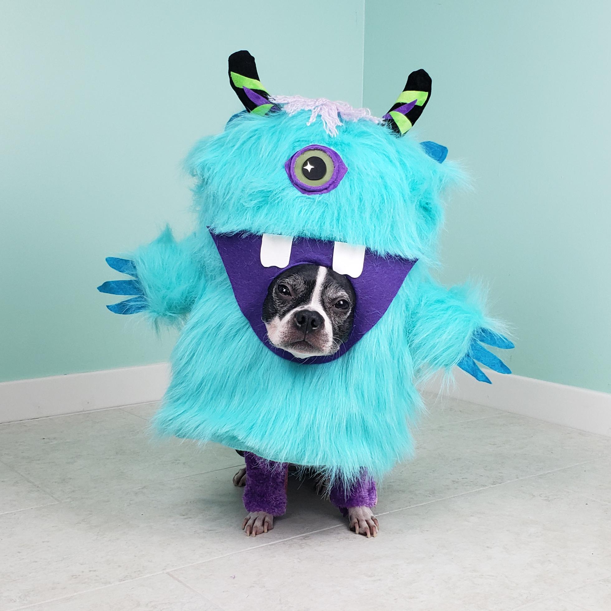 Lil Monster Dog Costume r/TheMaskedSinger