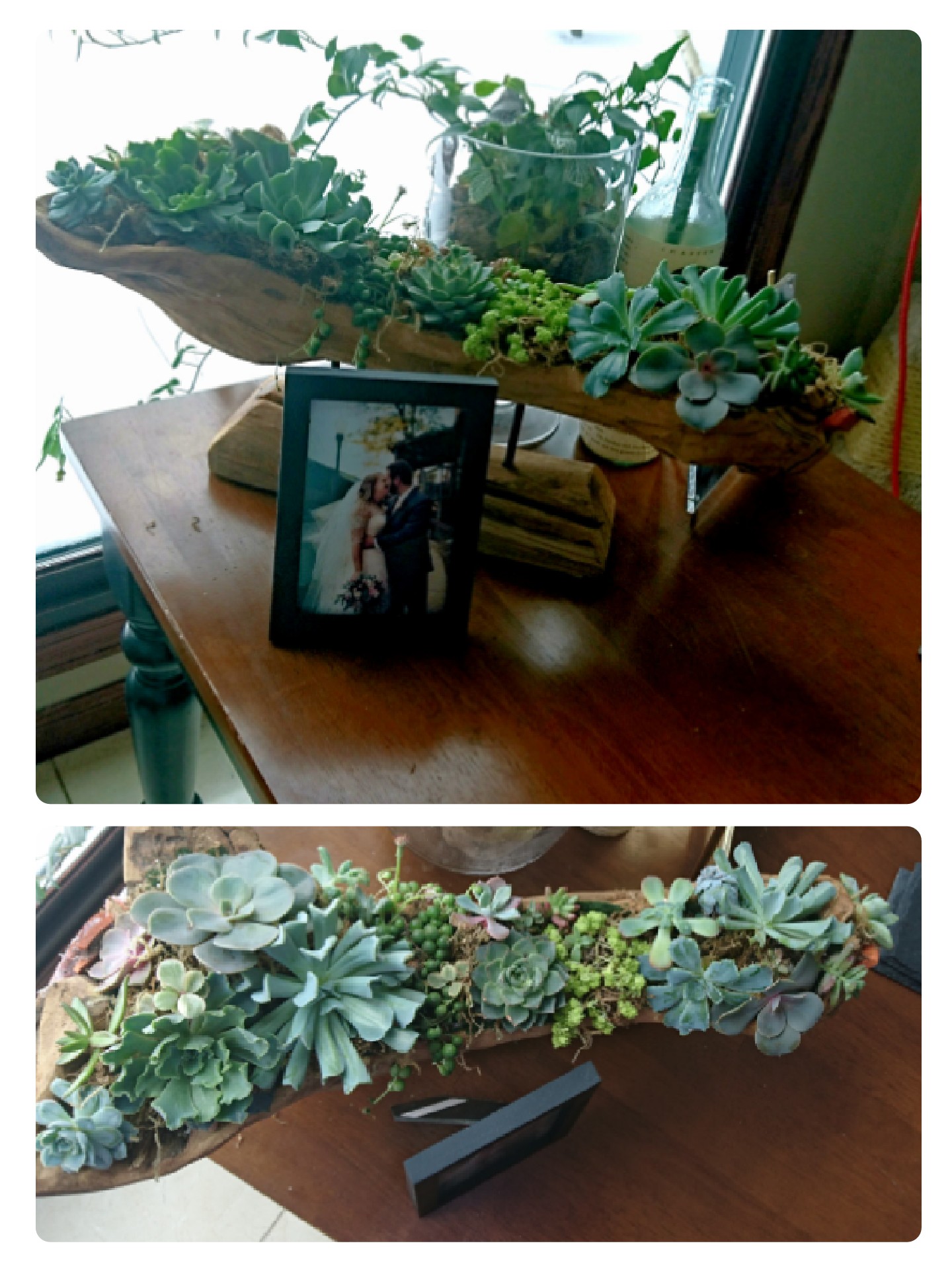 My most recent arrangement made from a fake succulent planter I bought
