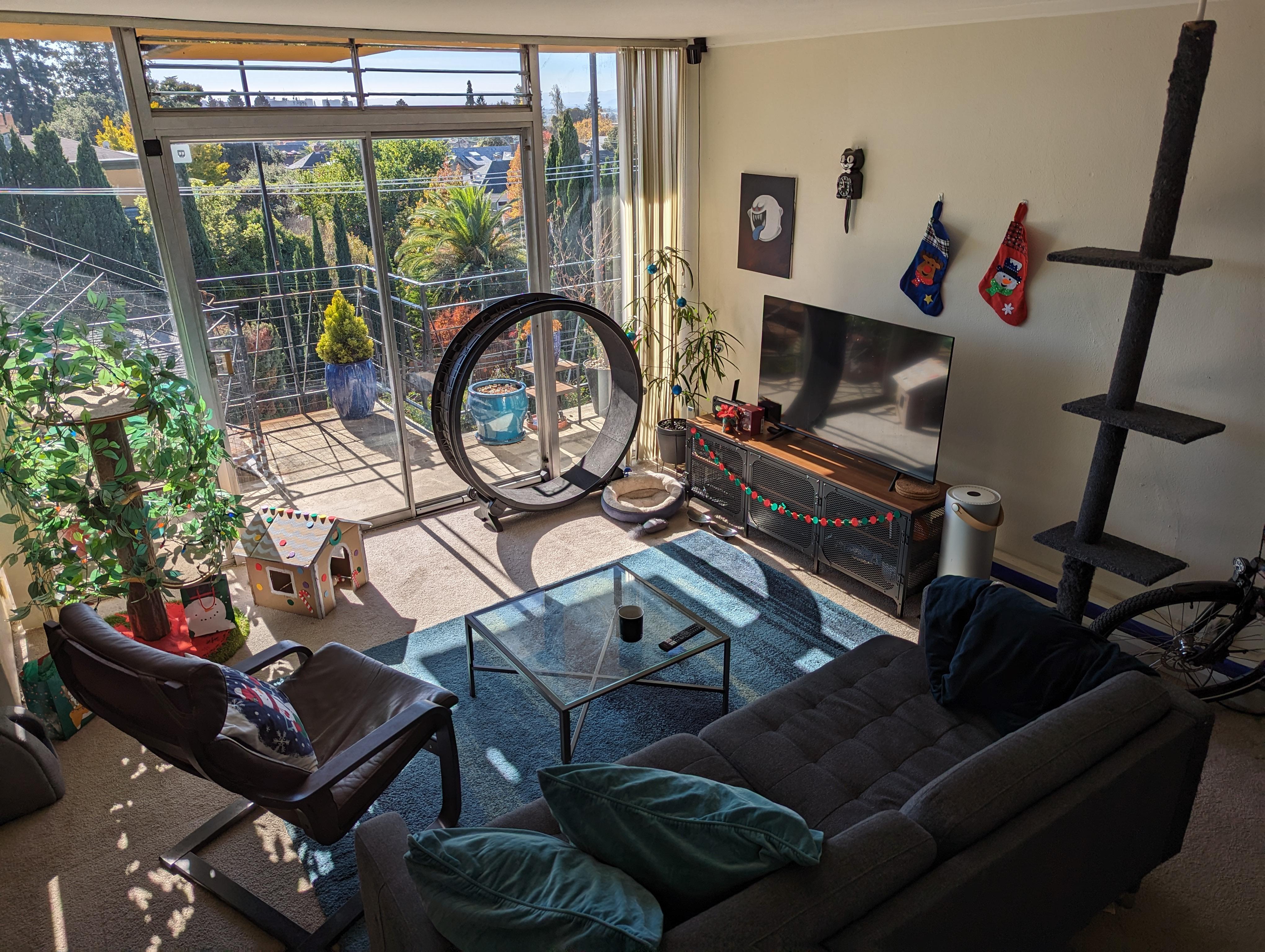 3 cat apartment in the Bay Area CA with subtle holiday spirit. r