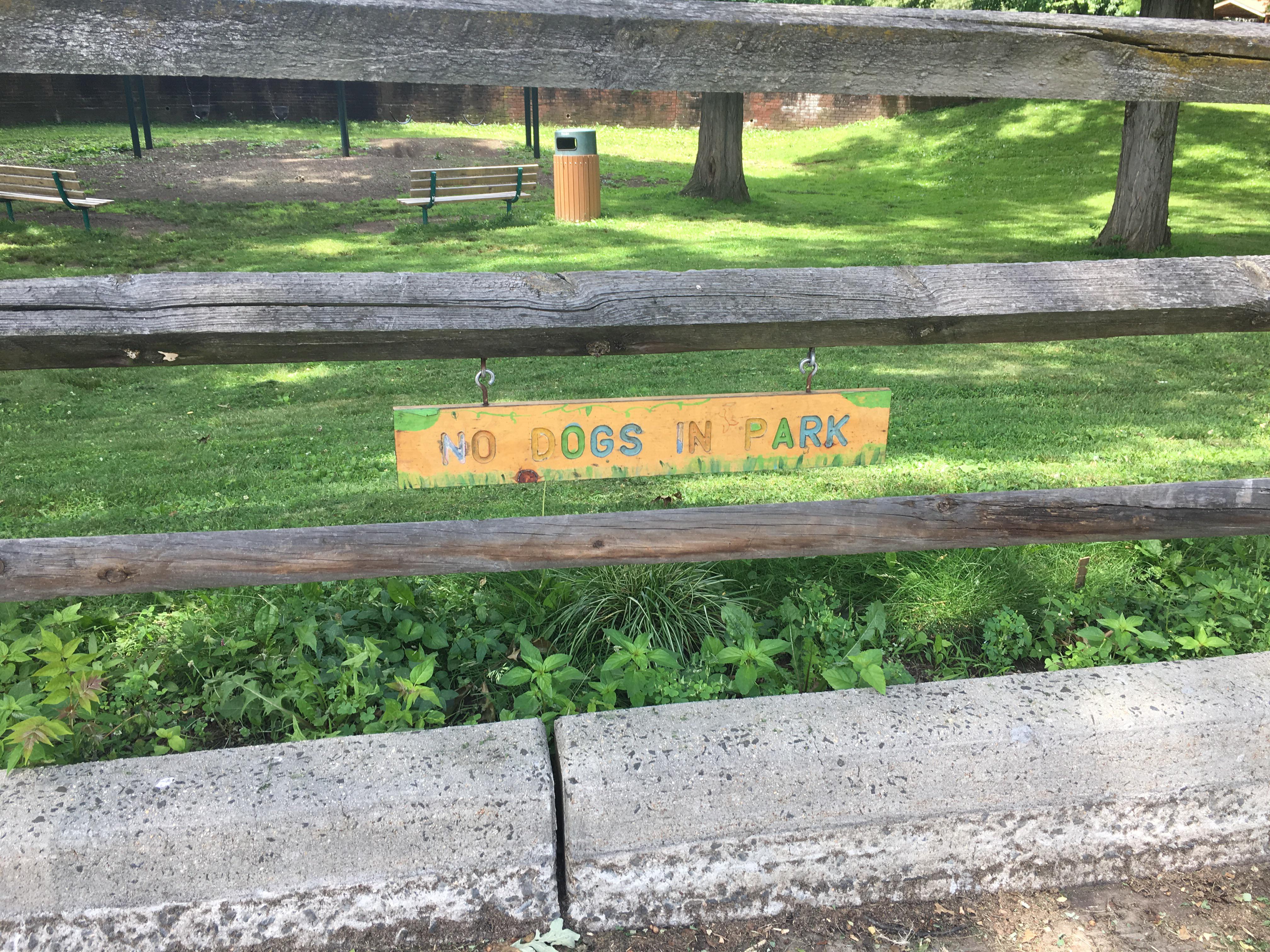 Dogs Not Allowed Homeowners Insurance Homeowners, Renters, and Pet