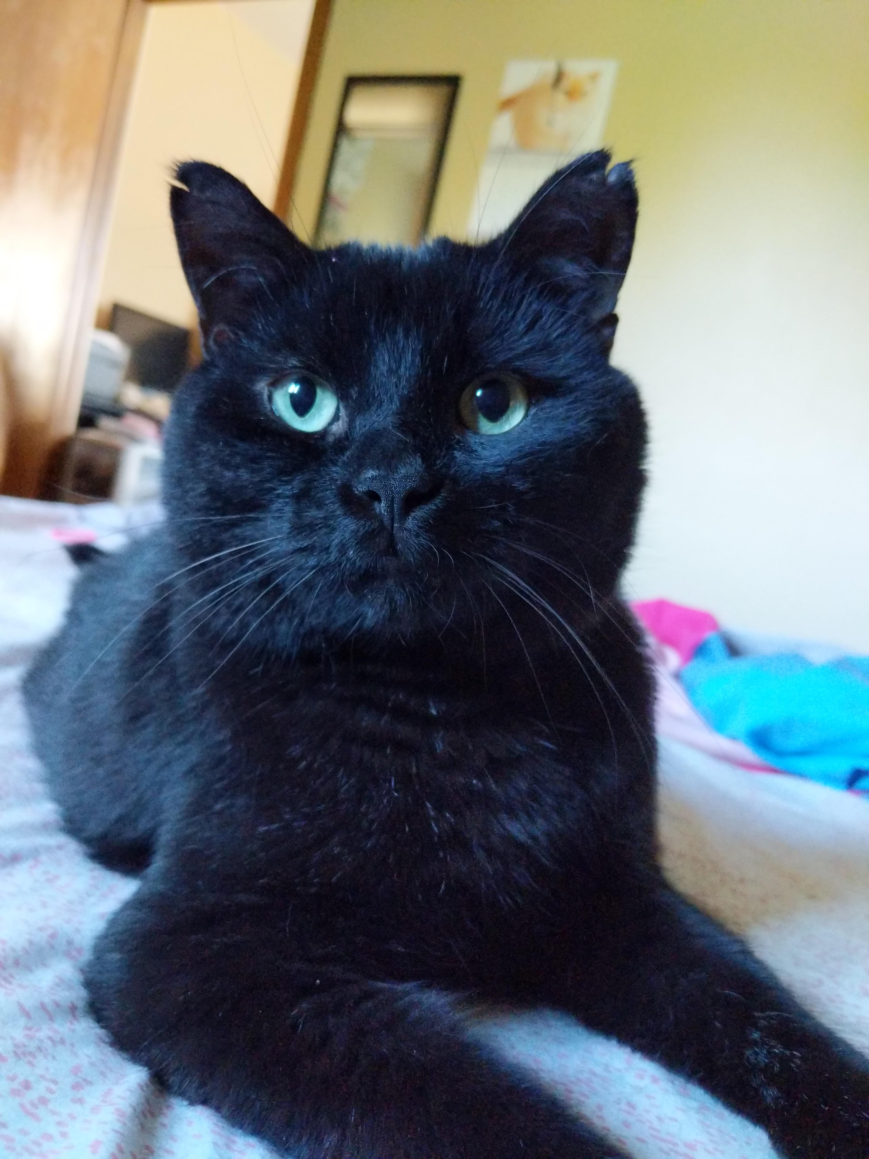 He has such a chubby face 😍 r/Delightfullychubby