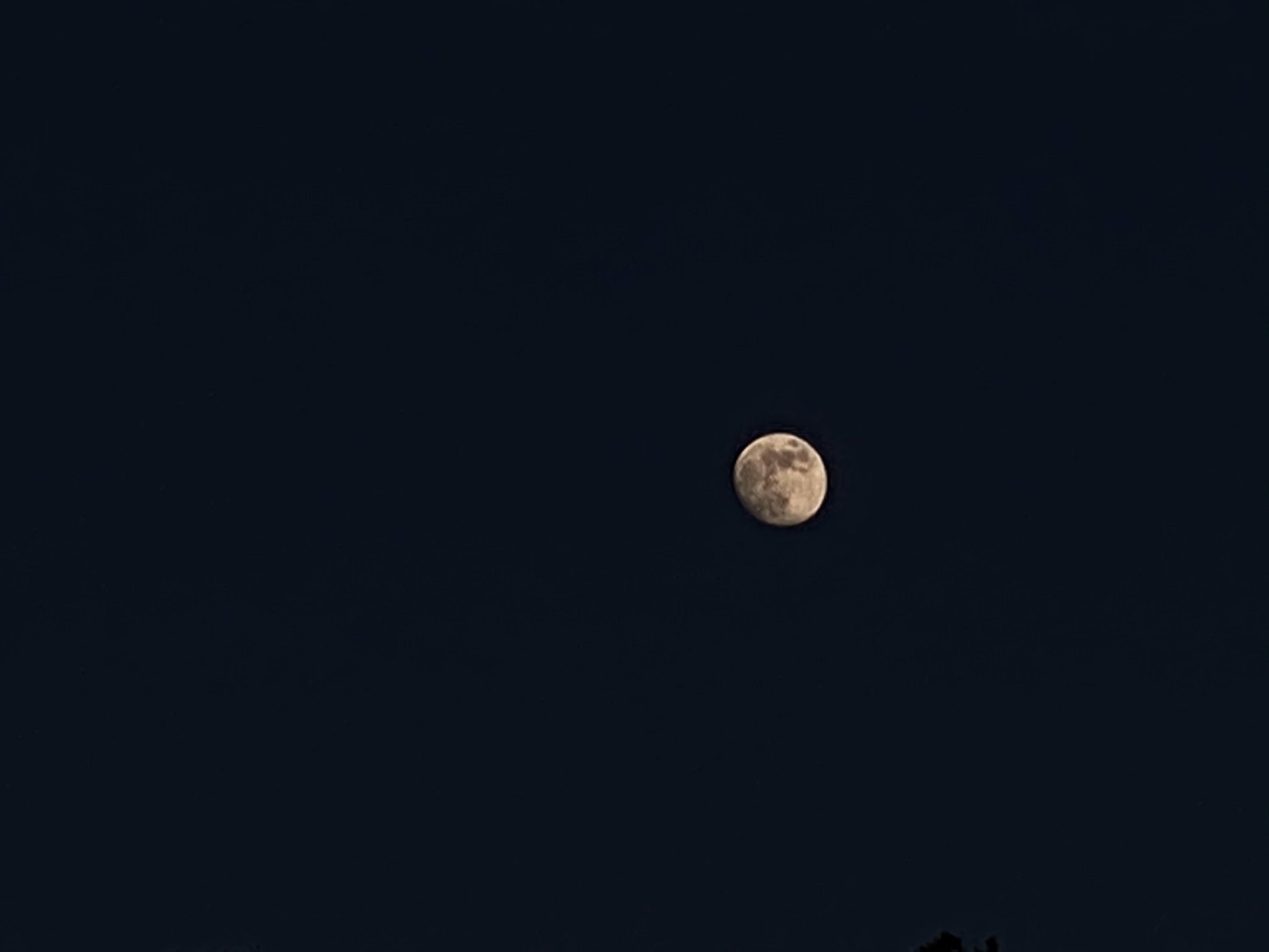 The moon. iPhone pro max r/mobilephotography