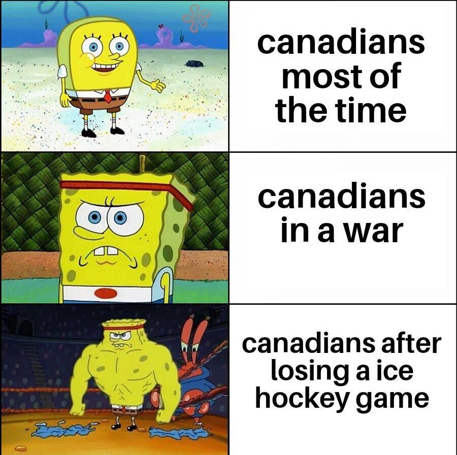 Shoutout to all my Canadian reddit brothers and sisters. r/memes