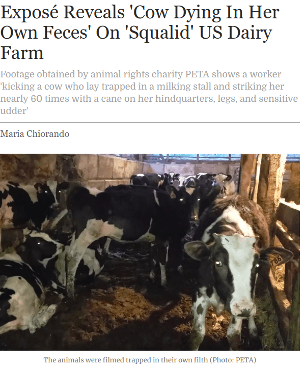 Dairy good. PETA bad. r/PETA