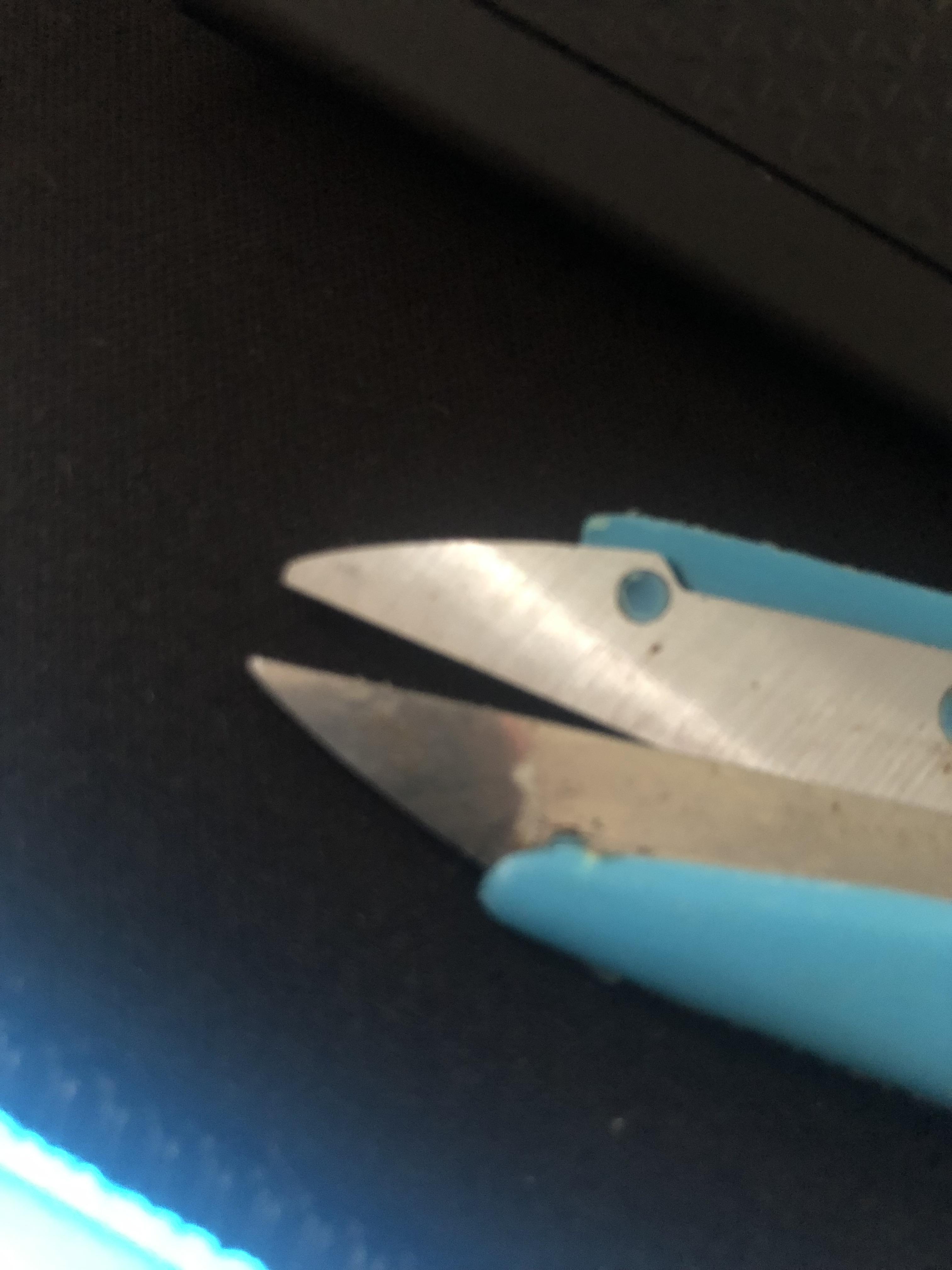 End of my scissors. Looks like a lil bird. r/Pareidolia