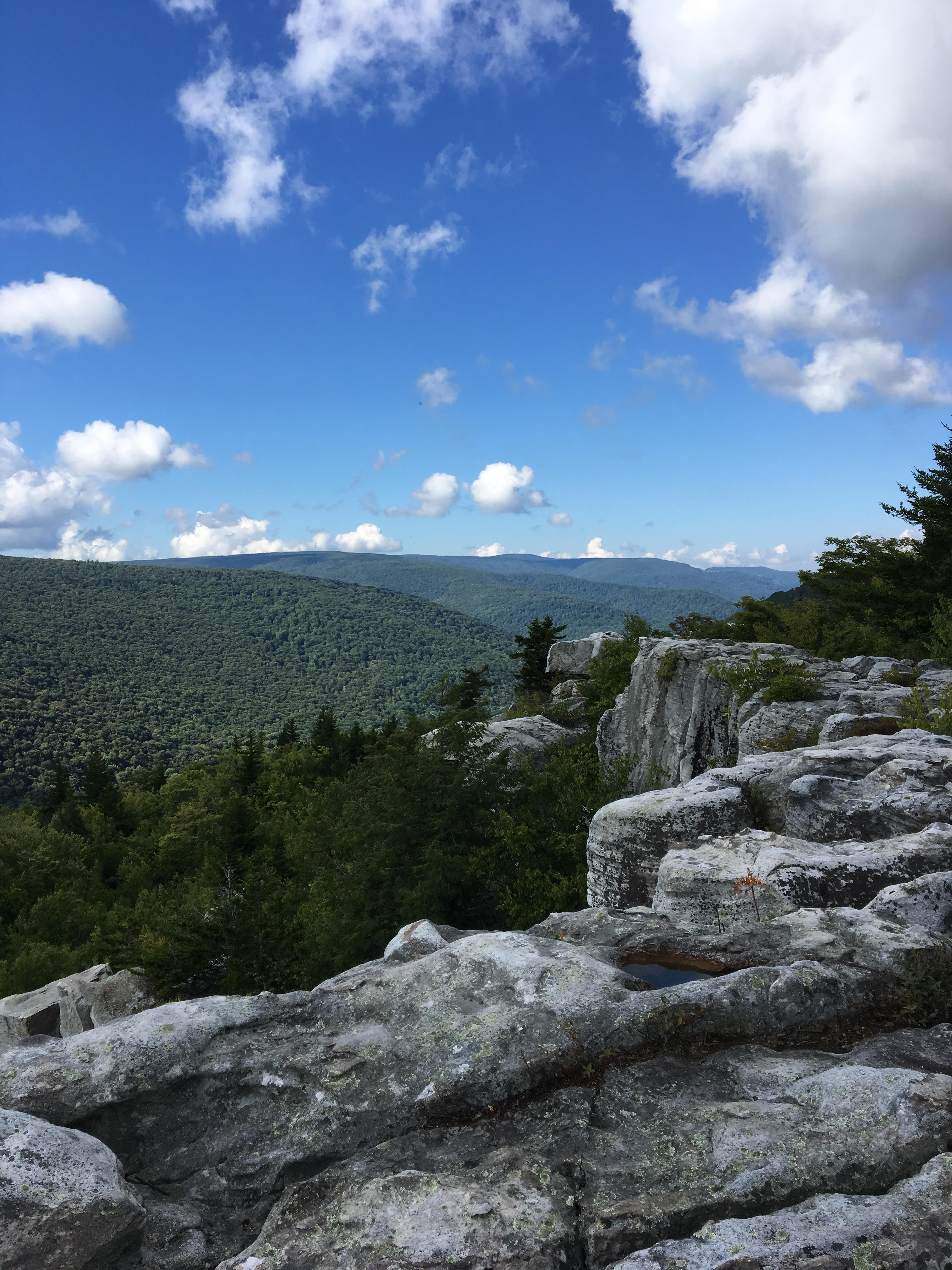 Hiking Dolly Sods West Virginia. Atop Lion Head. r/hiking
