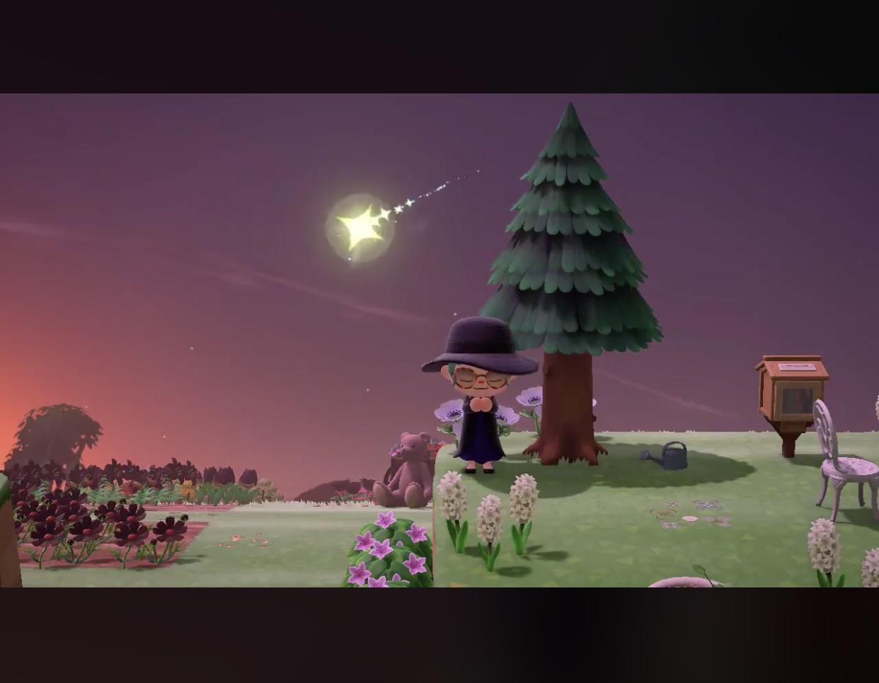 Meteor Shower (no Celeste) Mage’s robes, Leif on my island r