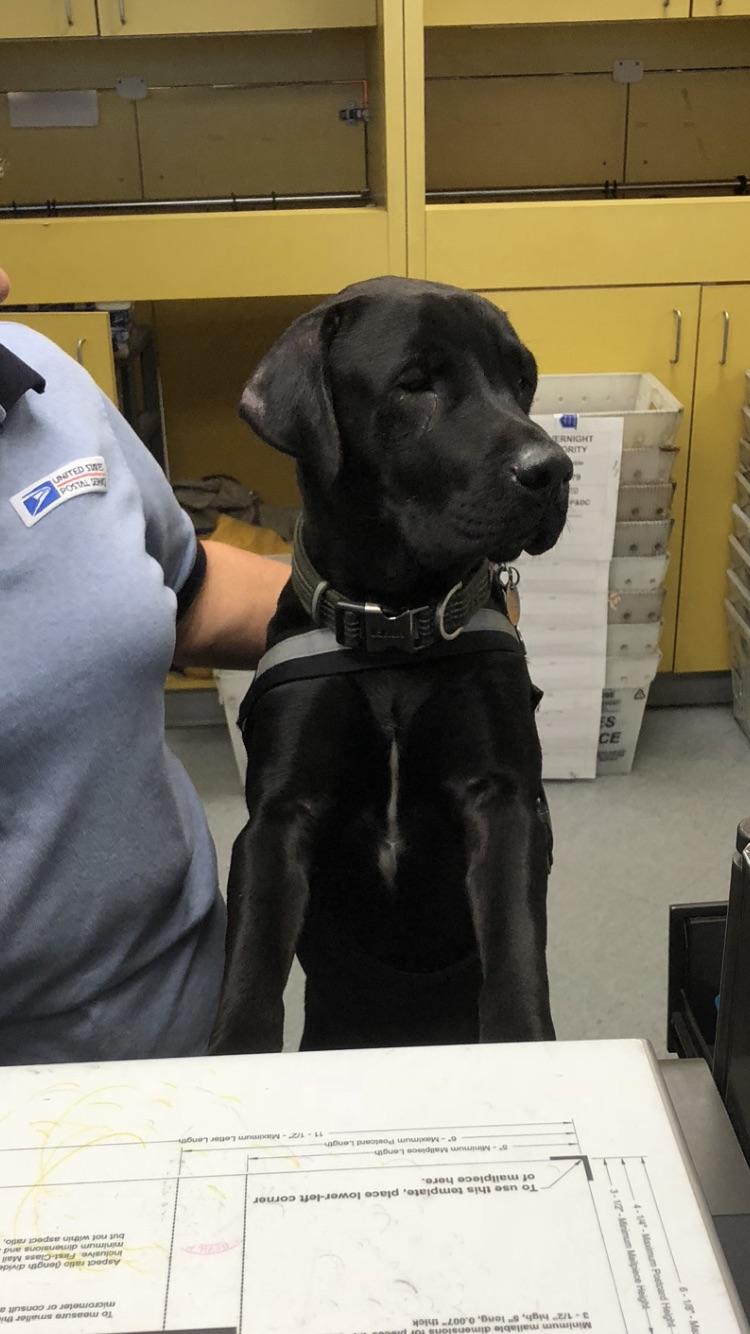 Meet Rudy, the Post Office employee of the century! He helped me mail some post cards today. r