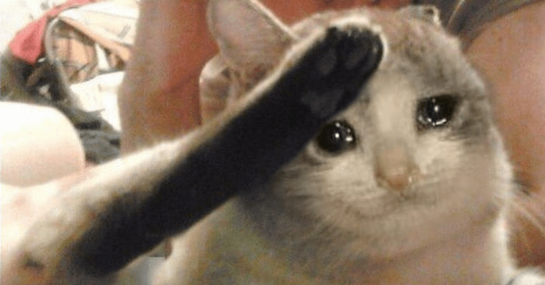 Cute Sad Cat With Tears(07)
