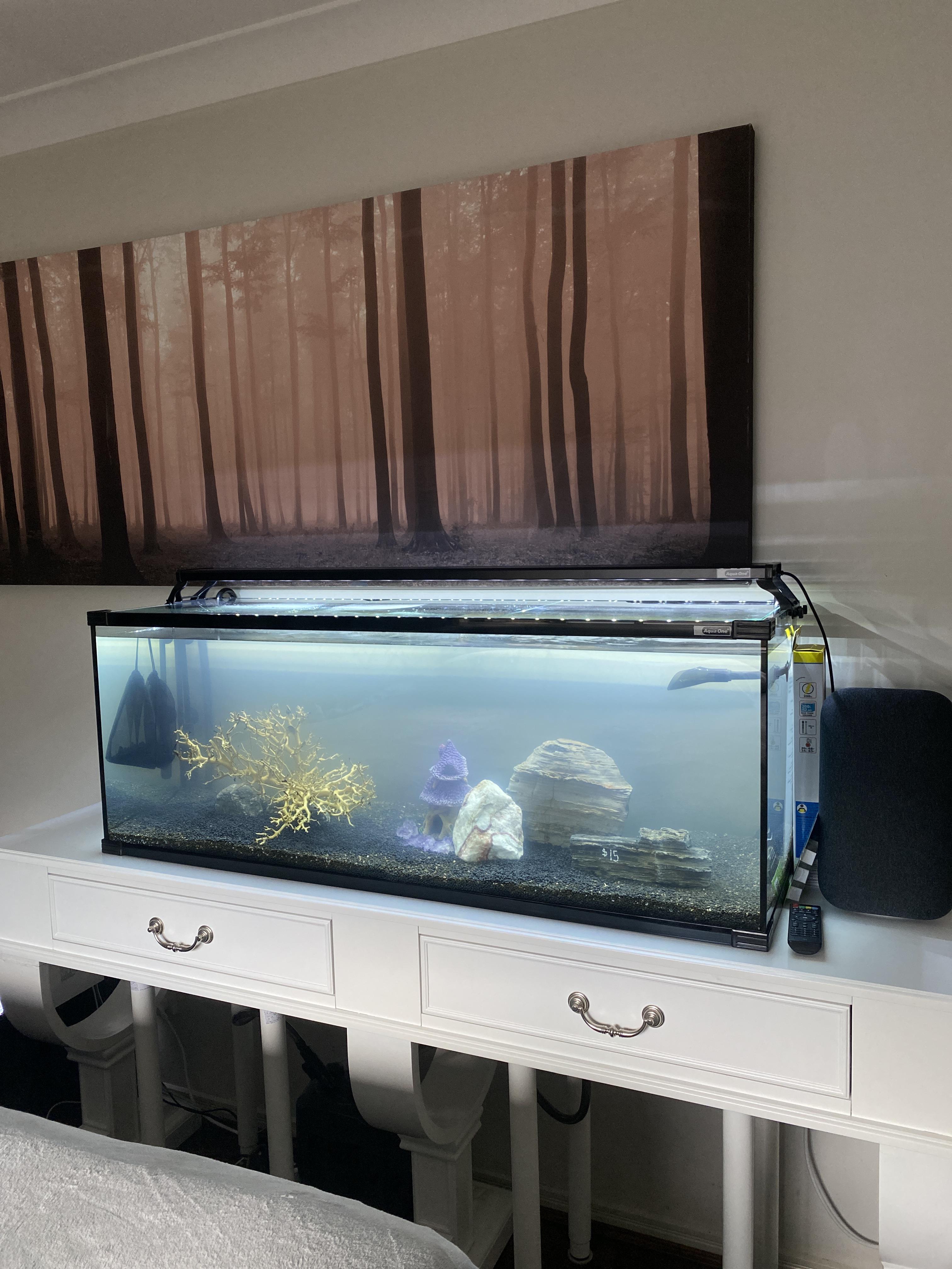 Fish Tank Murky I recently bought this fish tank and some gravel to