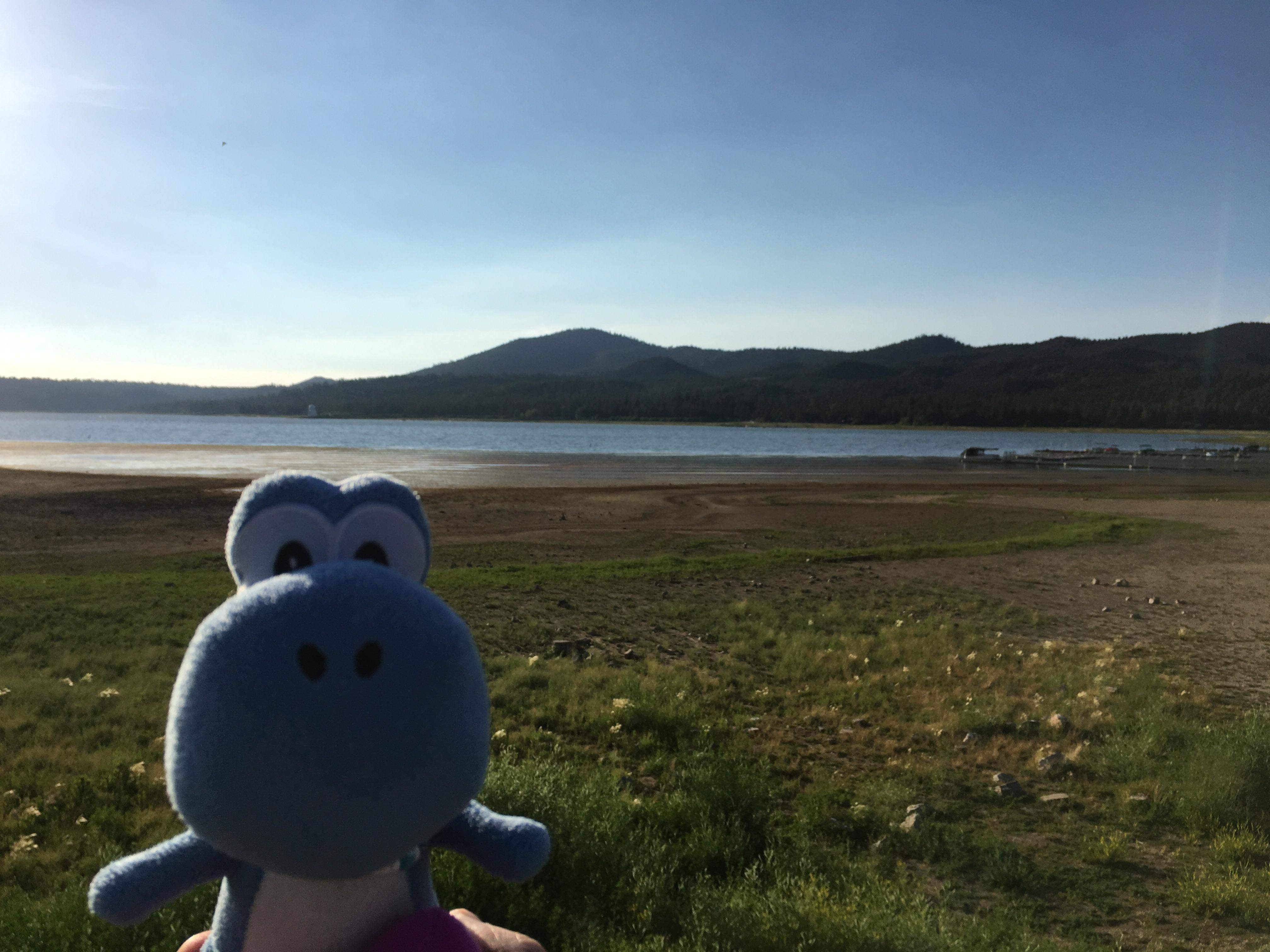 Yoshi at Big Bear Lake today. He thought he would see all those giant