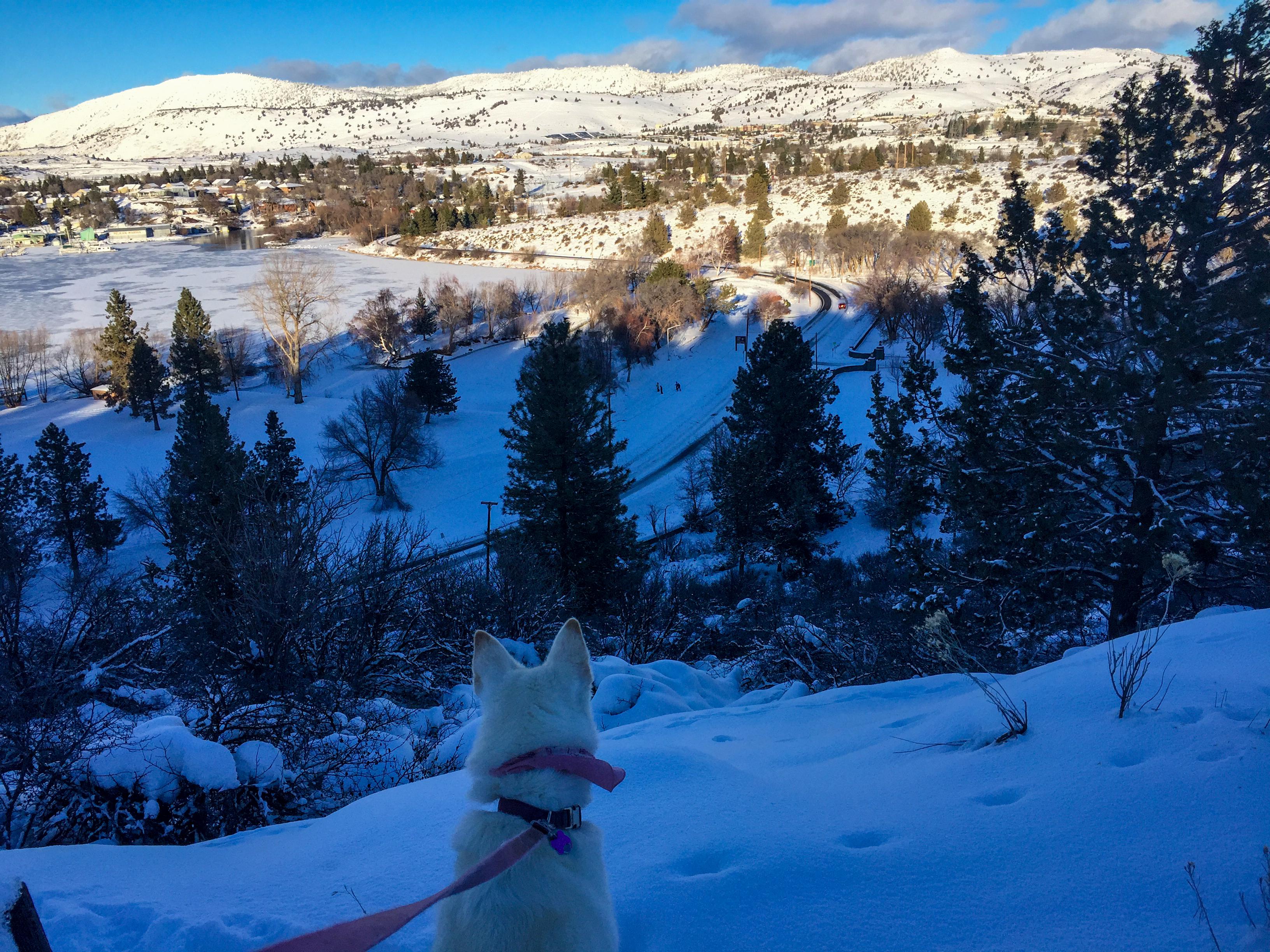 Hiking in Moore Park, Klamath Falls, Oregon r/oregon