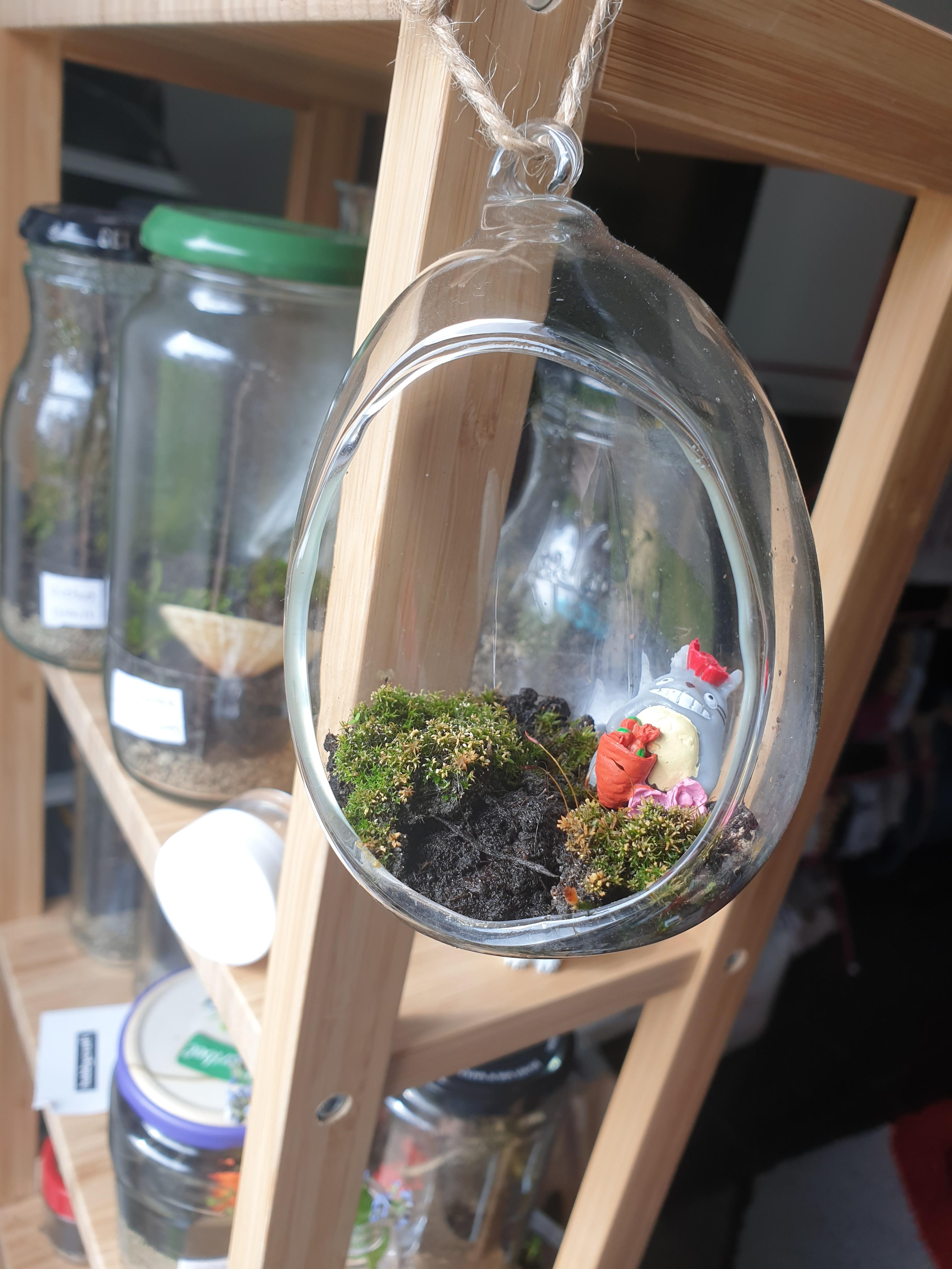 Little terrarium hanging on my terrarium shelf r/terrariums