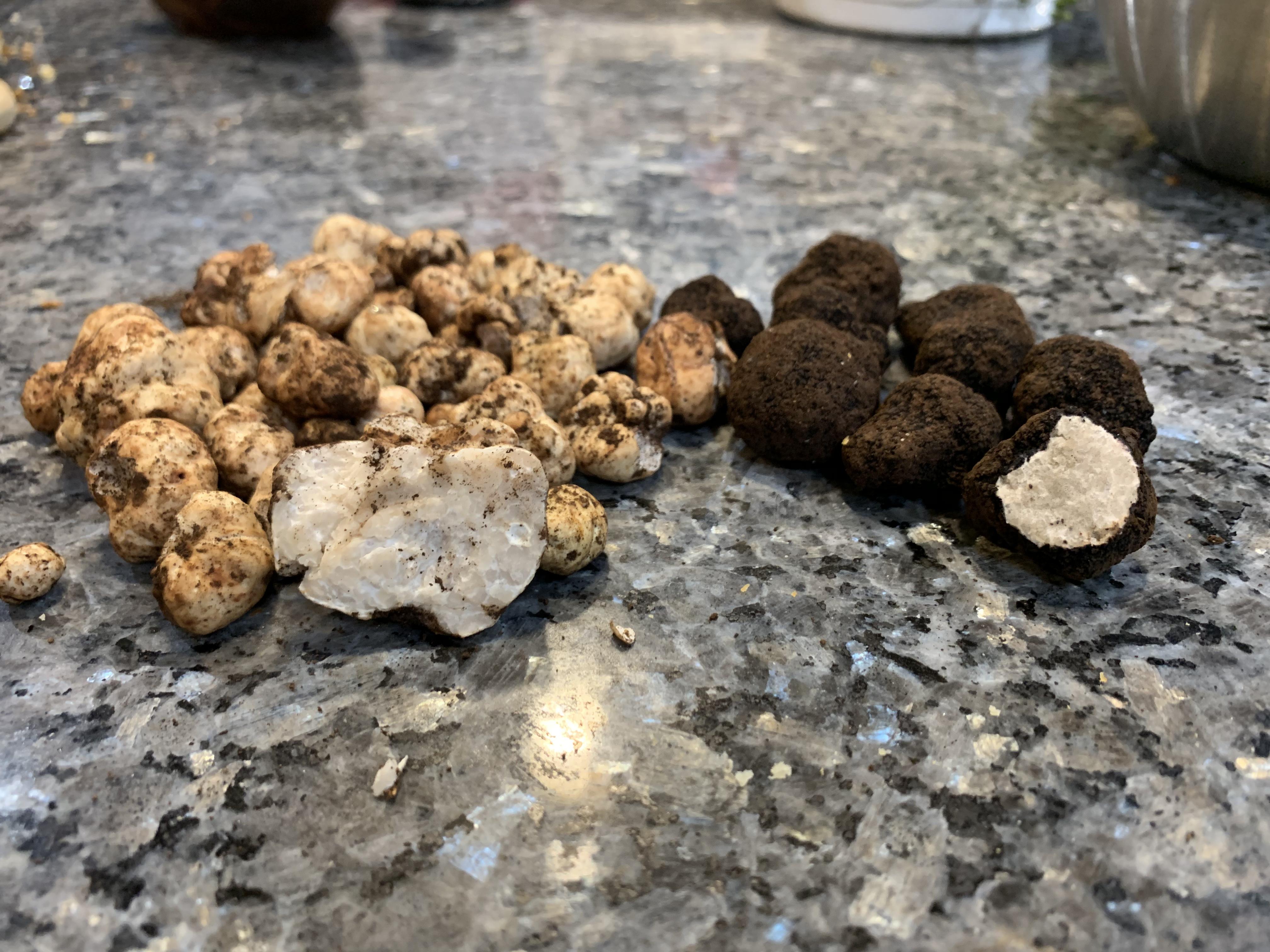 First truffle hunt of the year (Oregon) r/Truffles