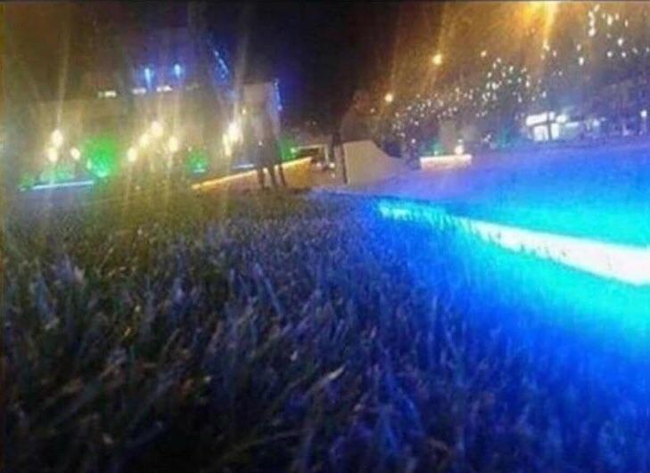 This grass looks like a concert. r/confusing_perspective