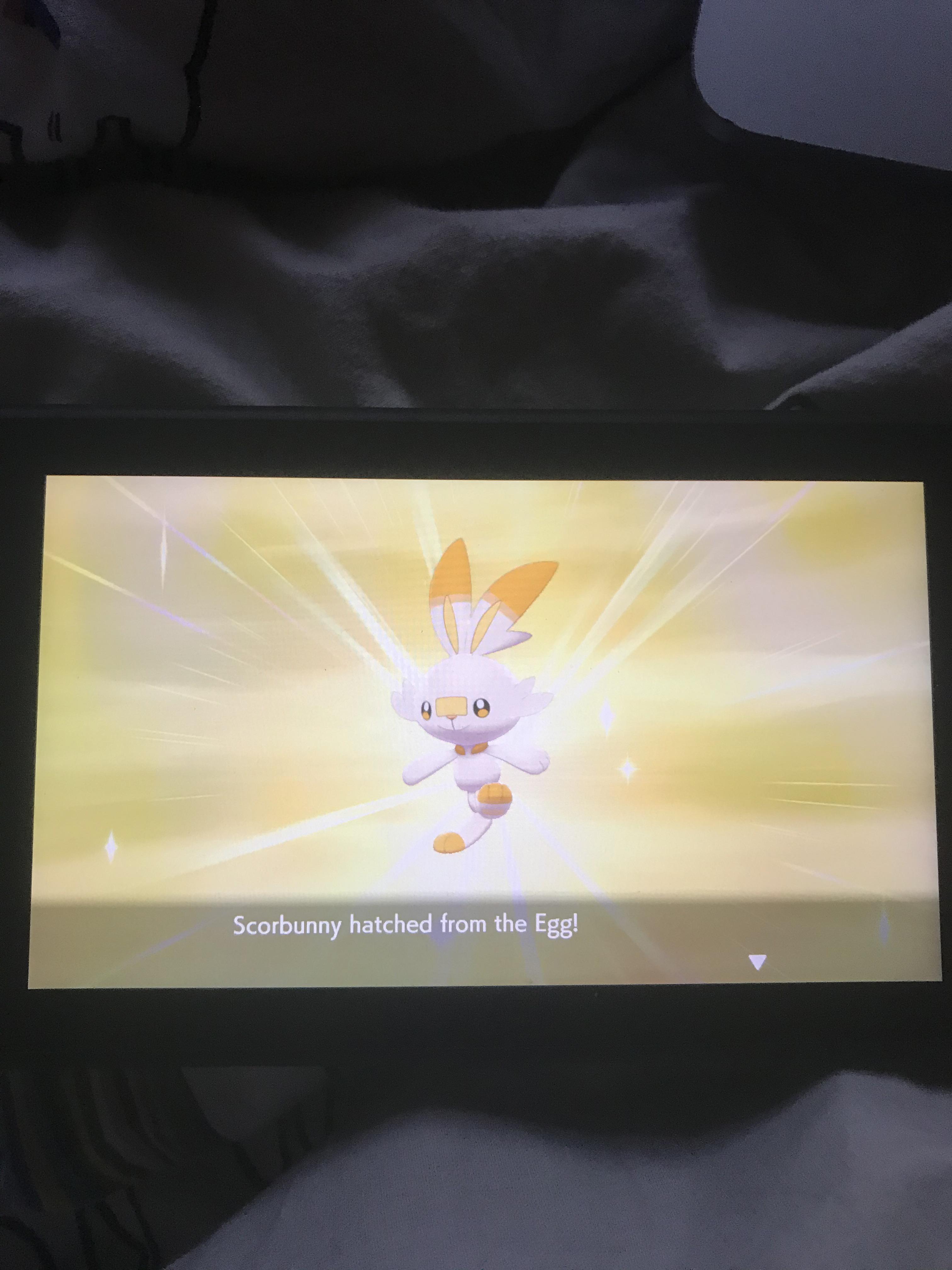 [8] Received a Japanese Scorbunny by ST, decided to breed a bit and try