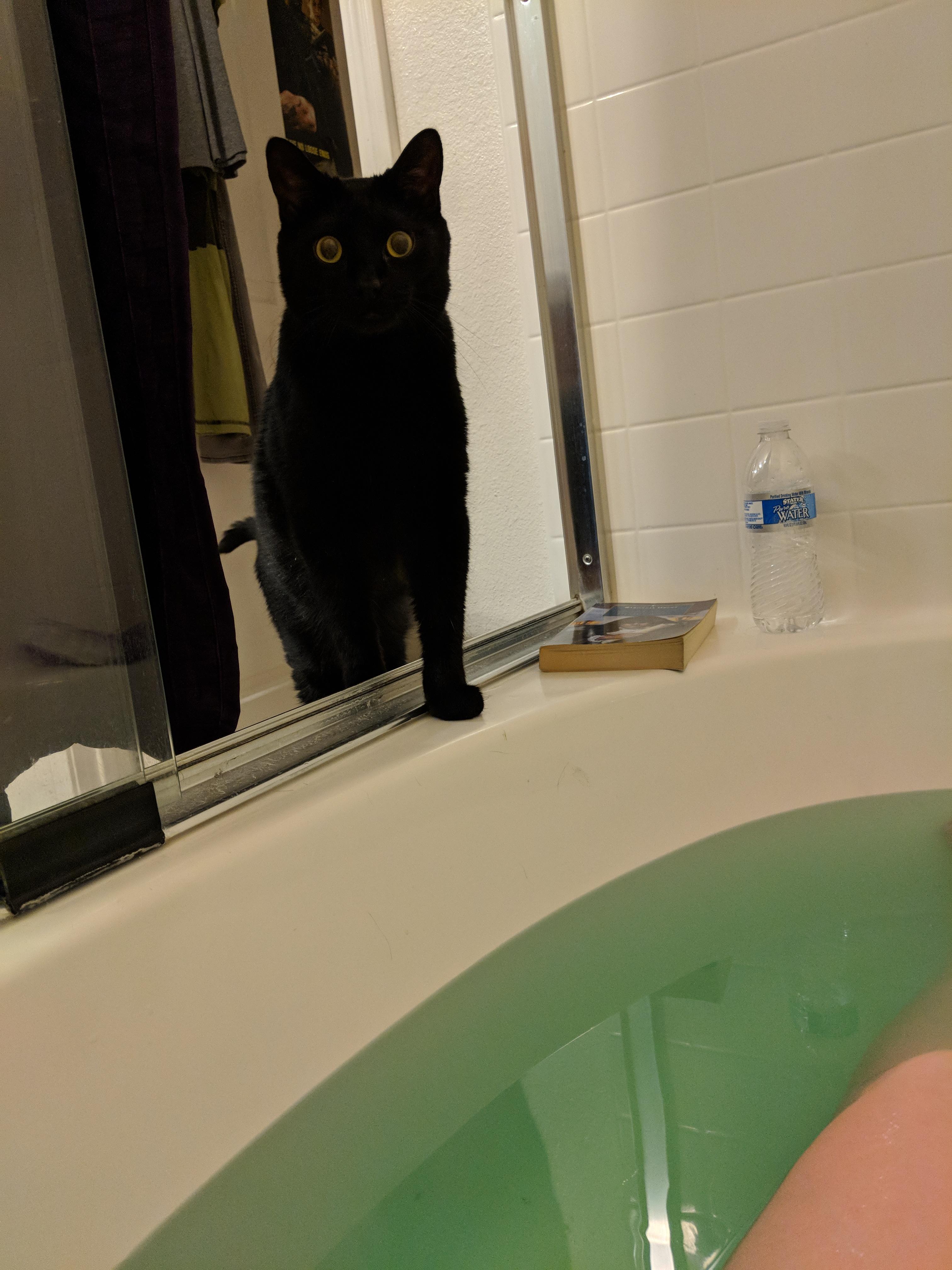 My kitty hung out with me the whole time I was in the tub! Over an hour