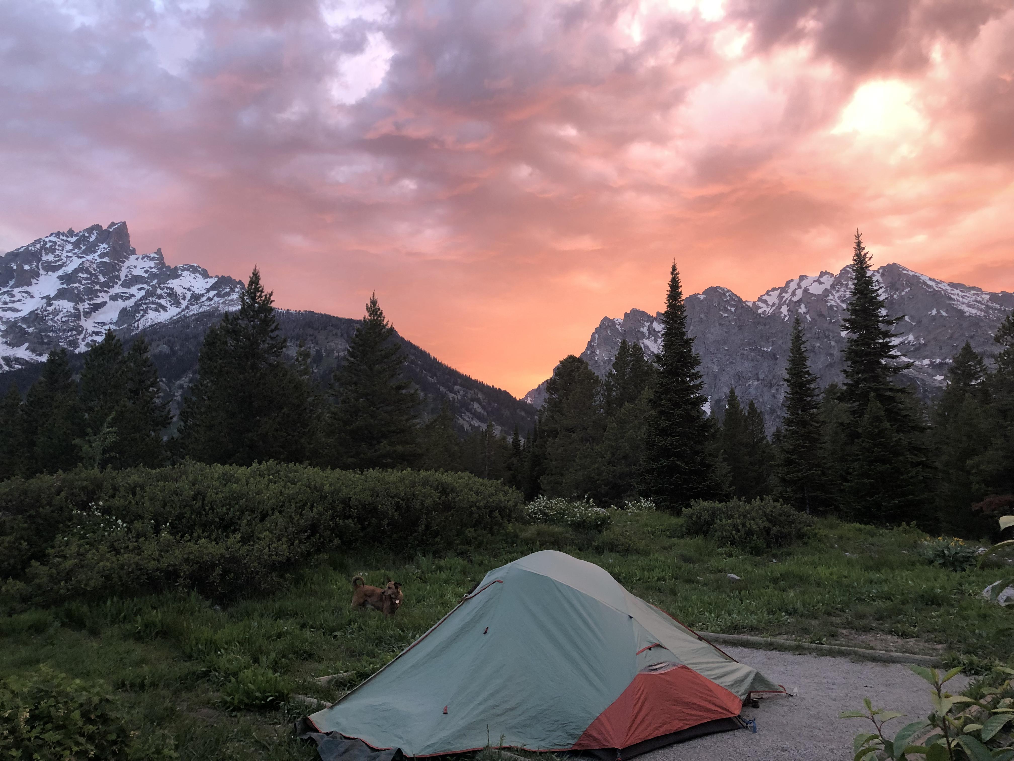 We had a pretty amazing campsite in the Tetons last week. I highly