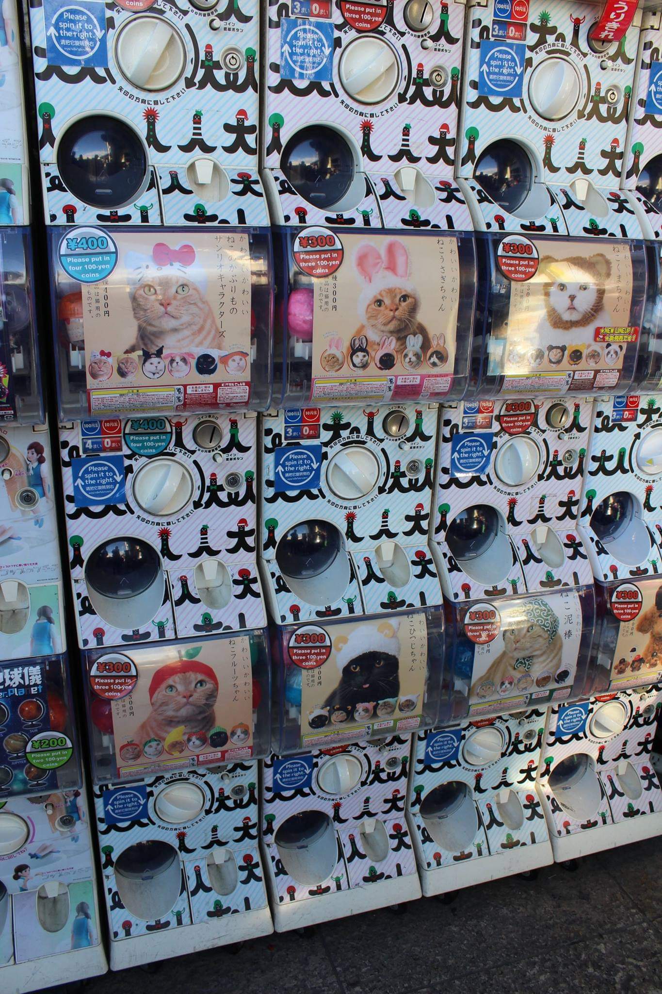 Cat hat vending machines in Tokyo. If you're really lucky or have a few