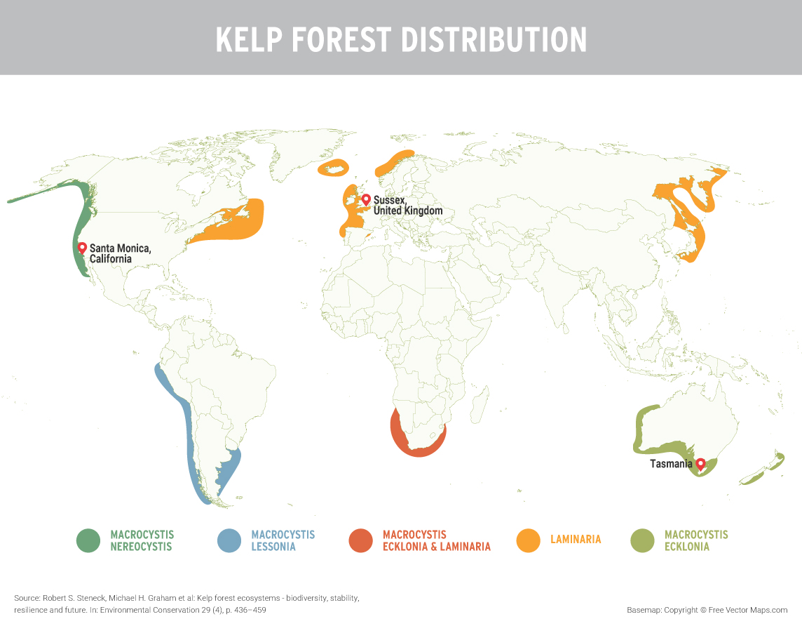 Kelp forest distribution r/MapPorn