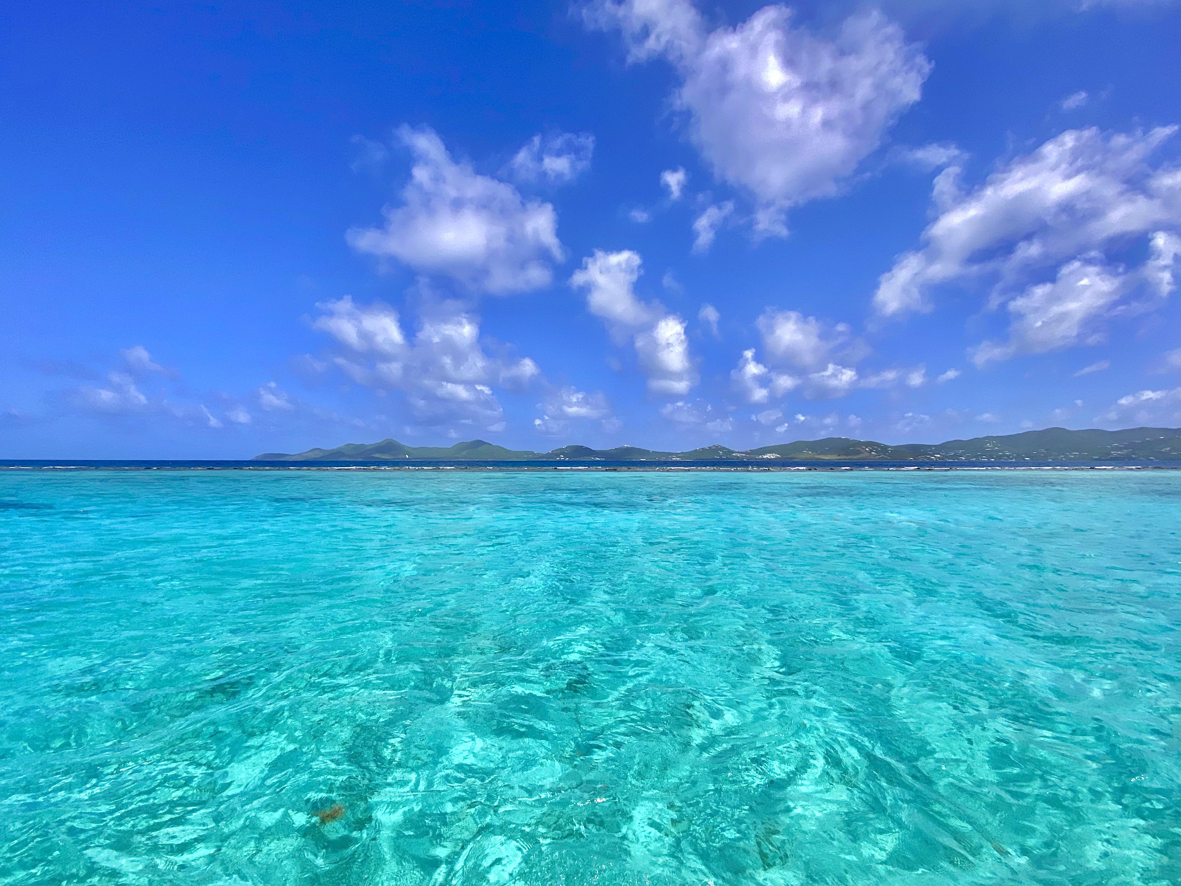 Quite possibly the bluest water I have ever seen, St. Croix, USVI r/pics