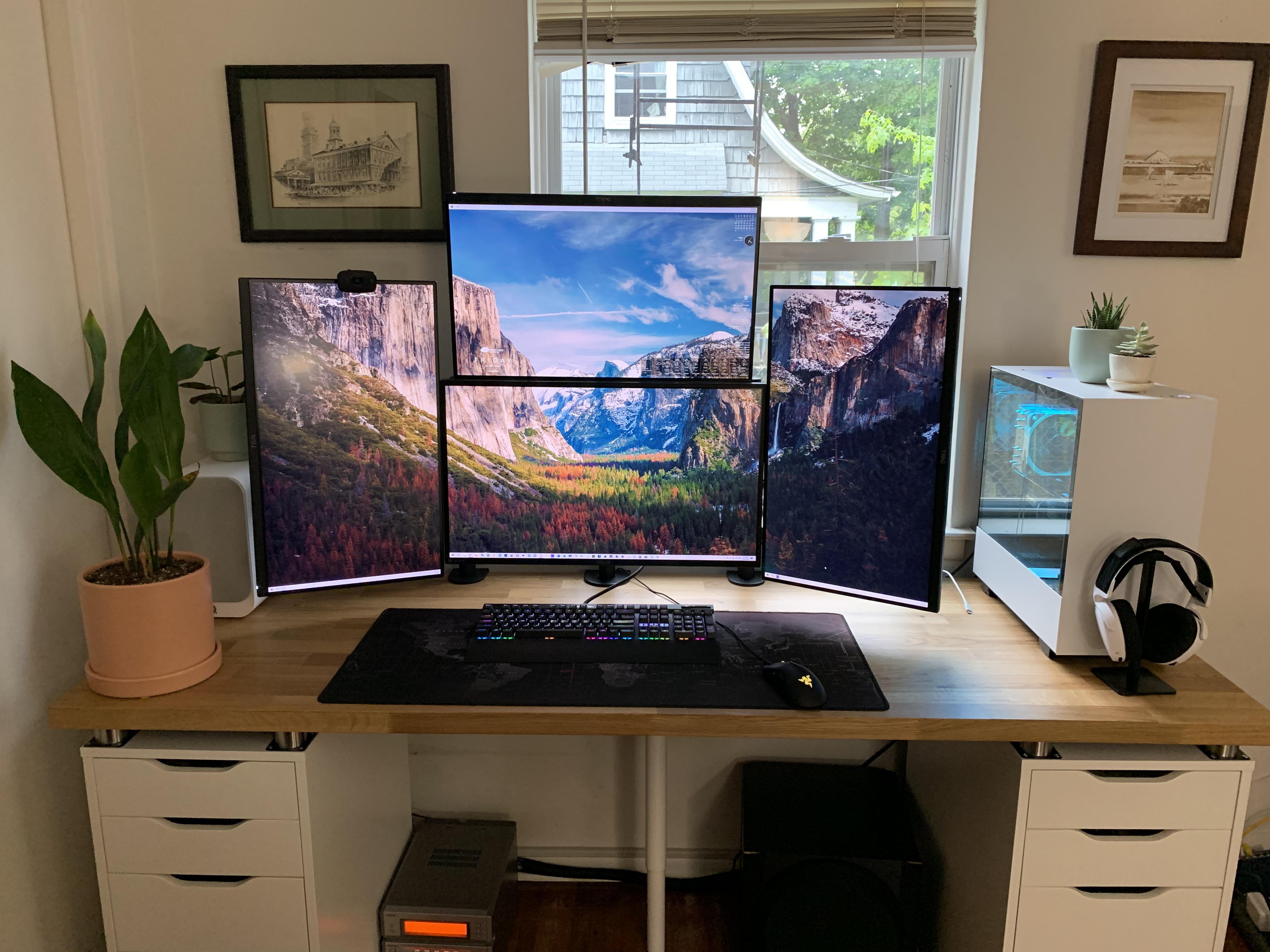 New desk, fresh cable management, and some catfriendly plants to