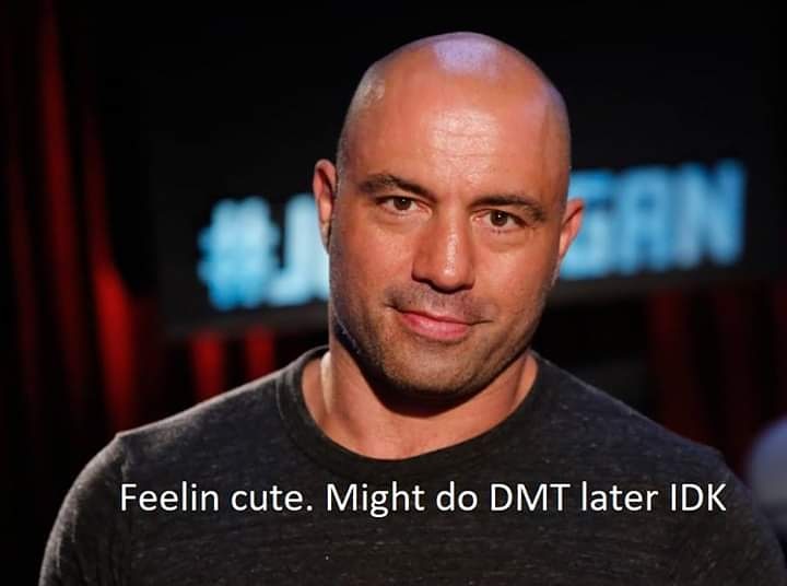 Feelin cute... Jamie pull that up JoeRogan