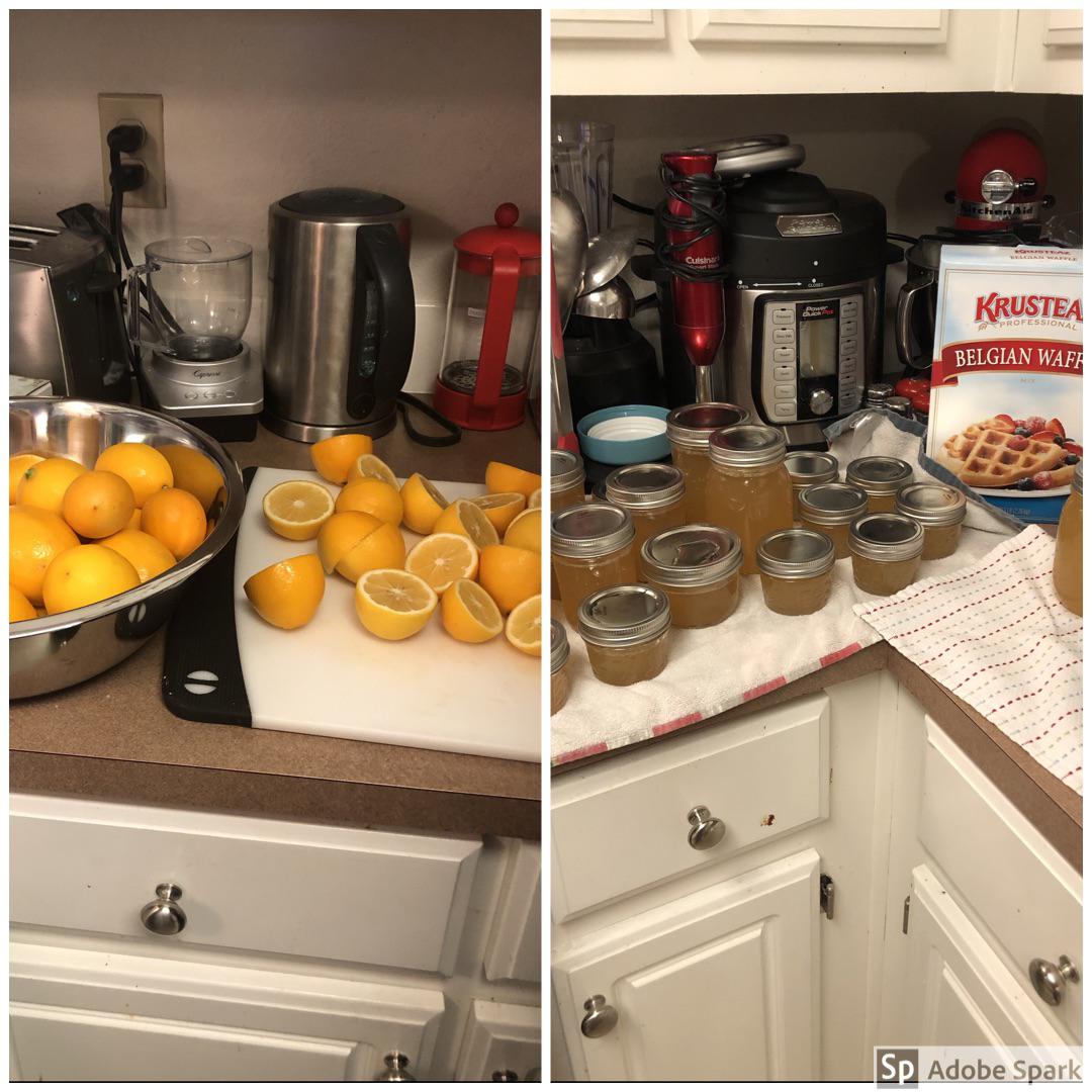 It’s Meyer Lemon Season, Time For Lemonade! r/Canning