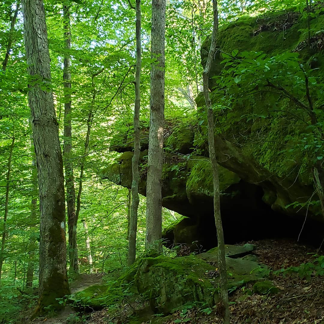 Zaleski State Forest, northern loop. Two day solo hike, 20 miles of pure bliss and aloneness