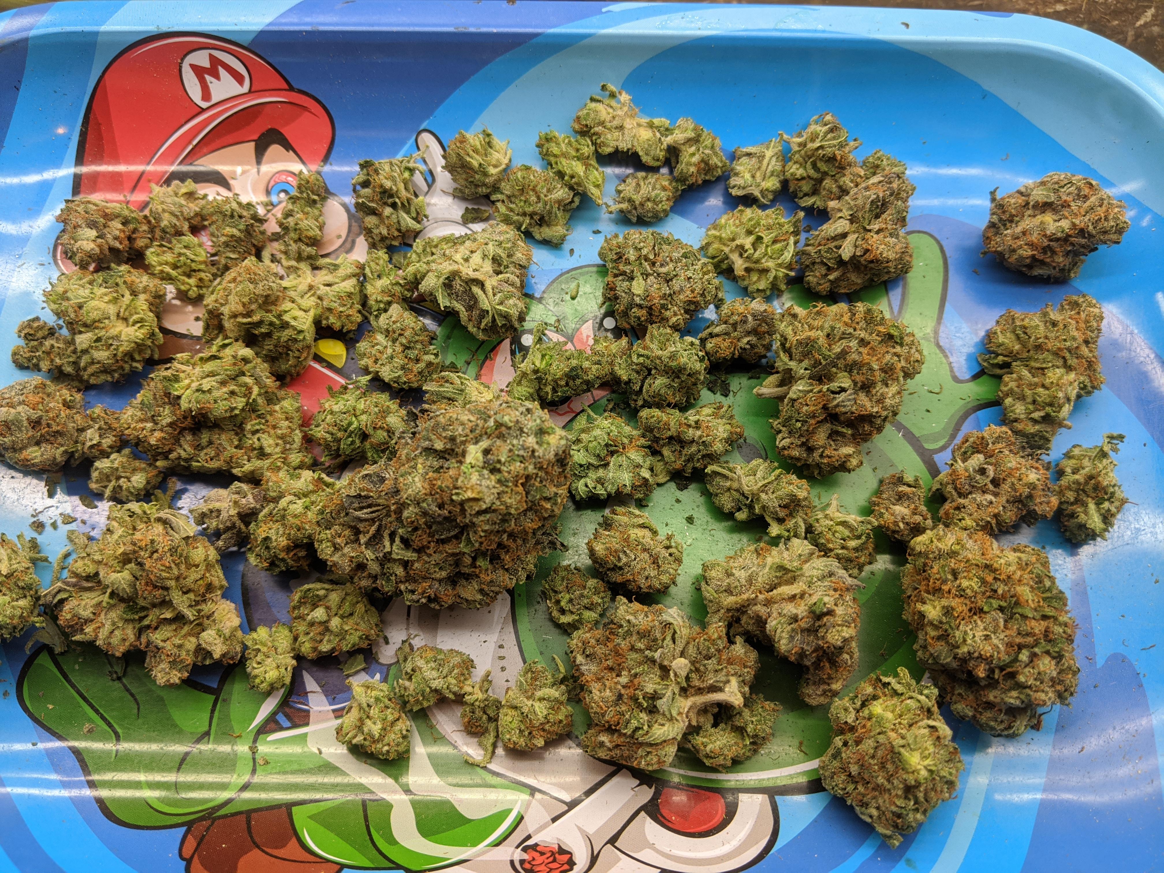 Pink Kush Kush Station March 4th r/MOMpics