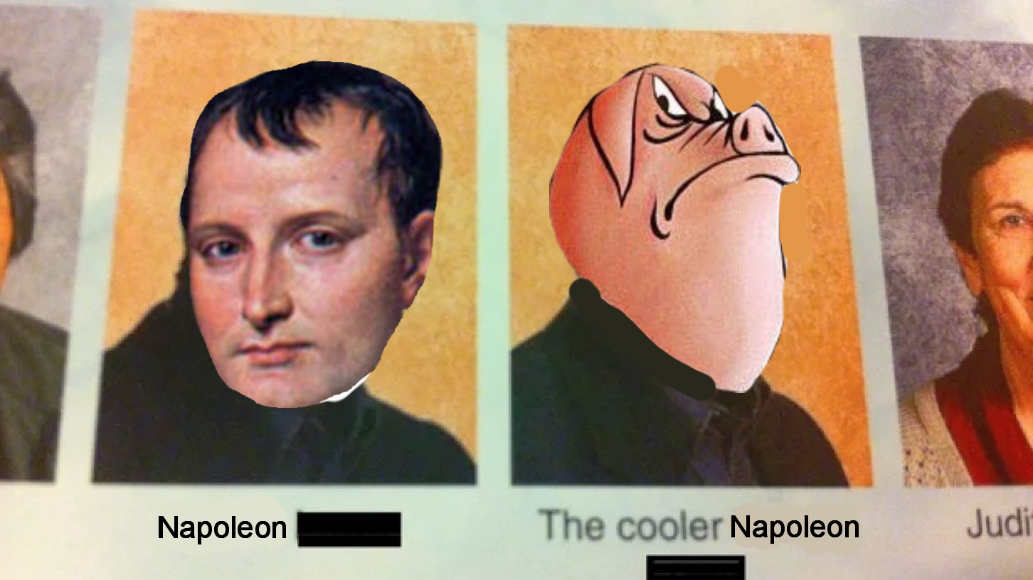 Ahh yes, the Napoleons r/HistoryMemes